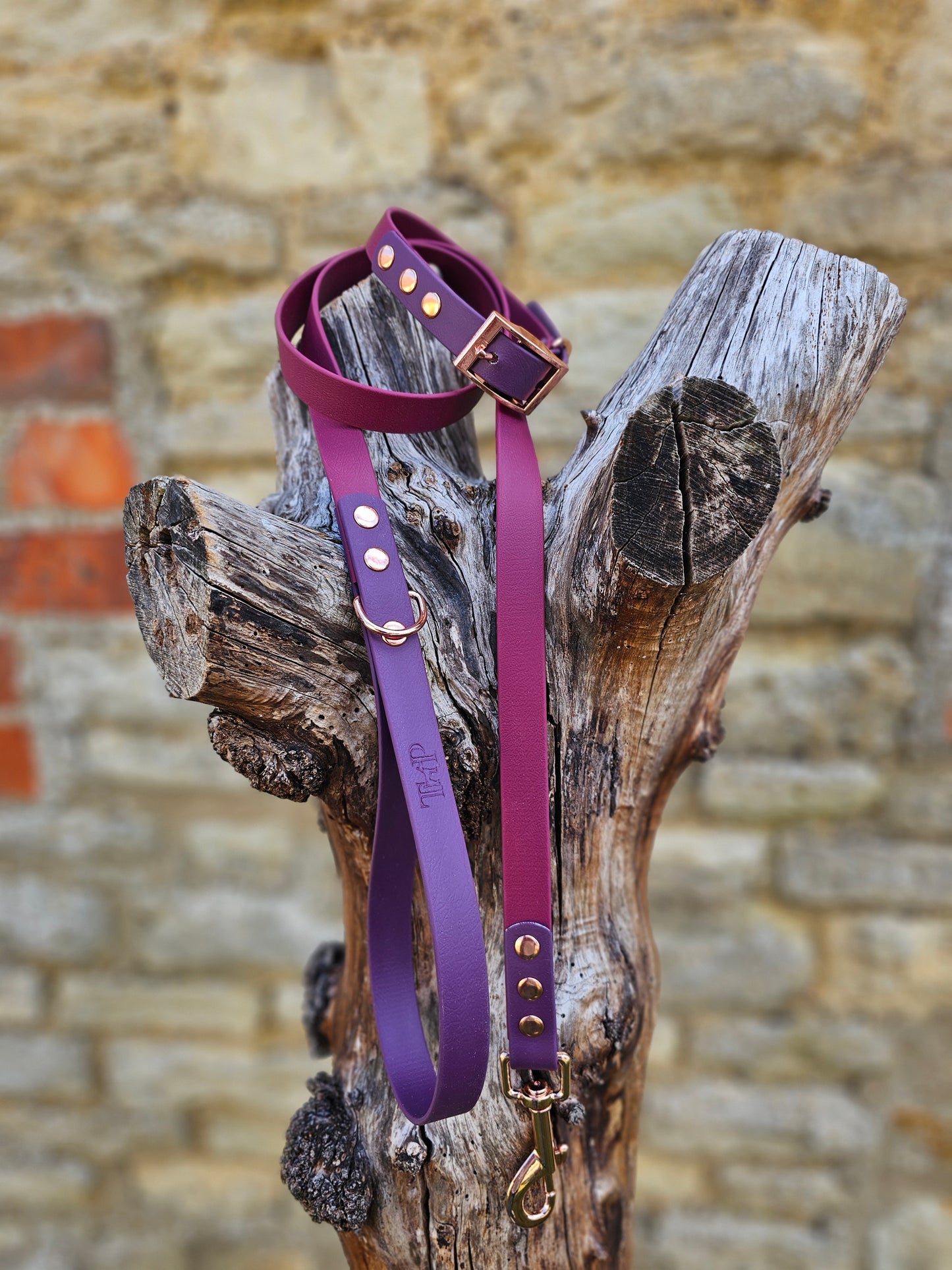 Burgundy & Aubergine - Waterproof BioThane© two-coloured Dog Collar