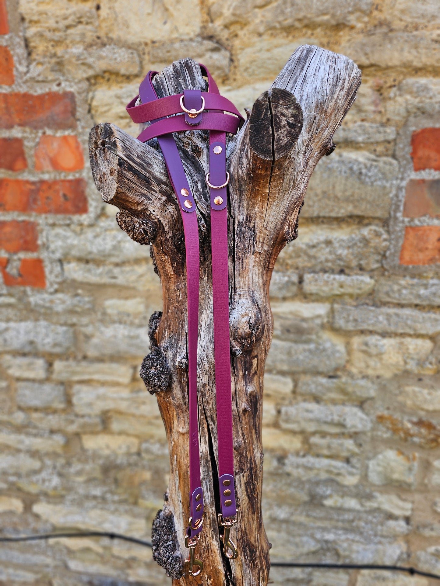Burgundy & Aubergine - Waterproof Biothane® Handsfree Dog Training Lead / Multiway Dog Lead