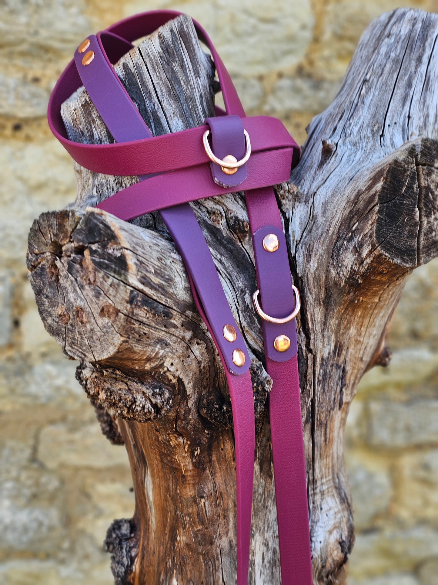 Burgundy & Aubergine - Waterproof Biothane® Handsfree Dog Training Lead / Multiway Dog Lead