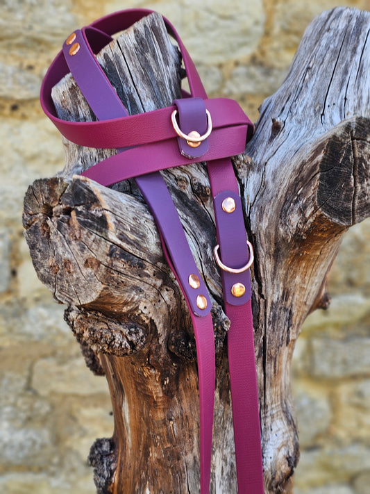 Burgundy & Aubergine - Waterproof Biothane® Handsfree Dog Training Lead / Multiway Dog Lead