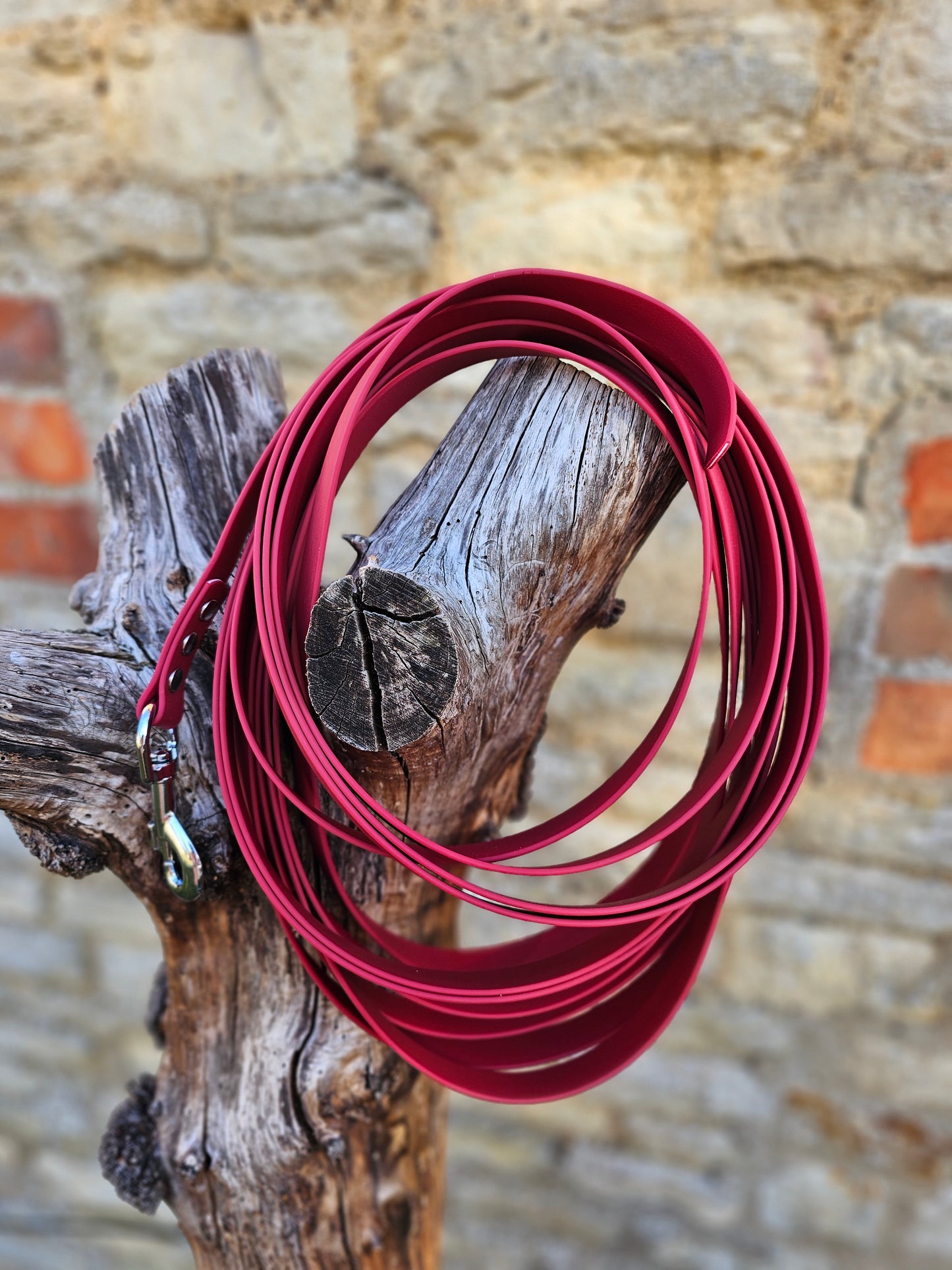 Wine - Waterproof Horse Lunge Lines