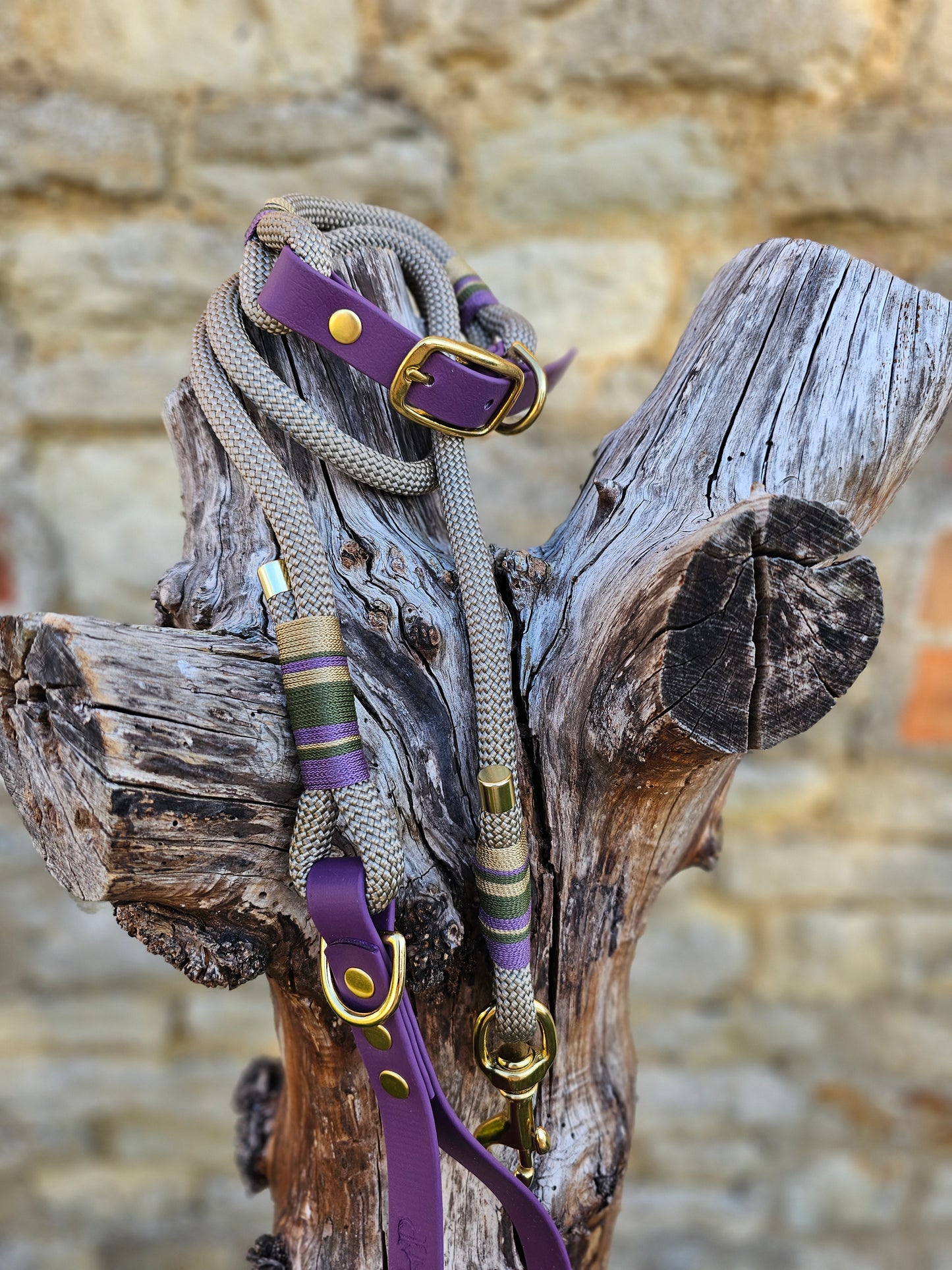 Henley - Premium Rope BioThane® Dog Collar