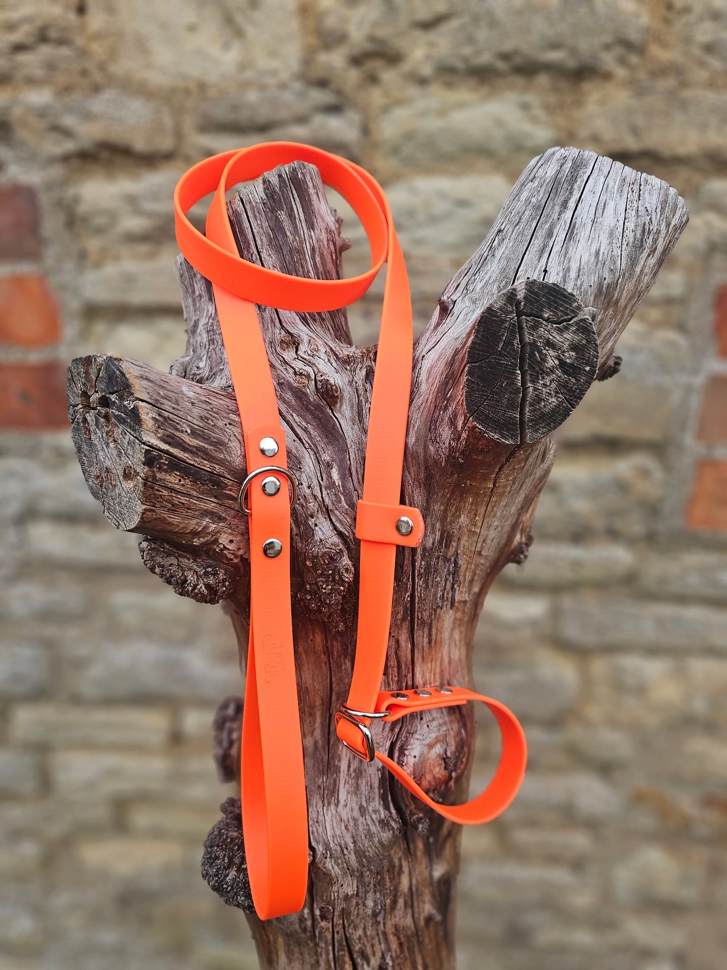 Neon Orange - Waterproof BioThane© Dog Slip Lead