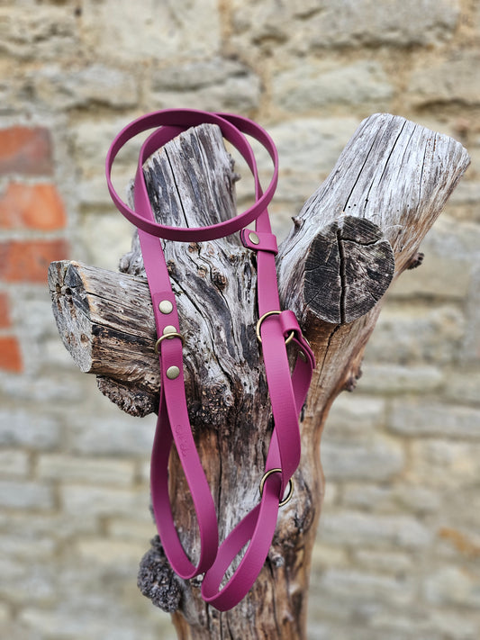 Burgundy - Waterproof BioThane© Dog Figure8 Lead