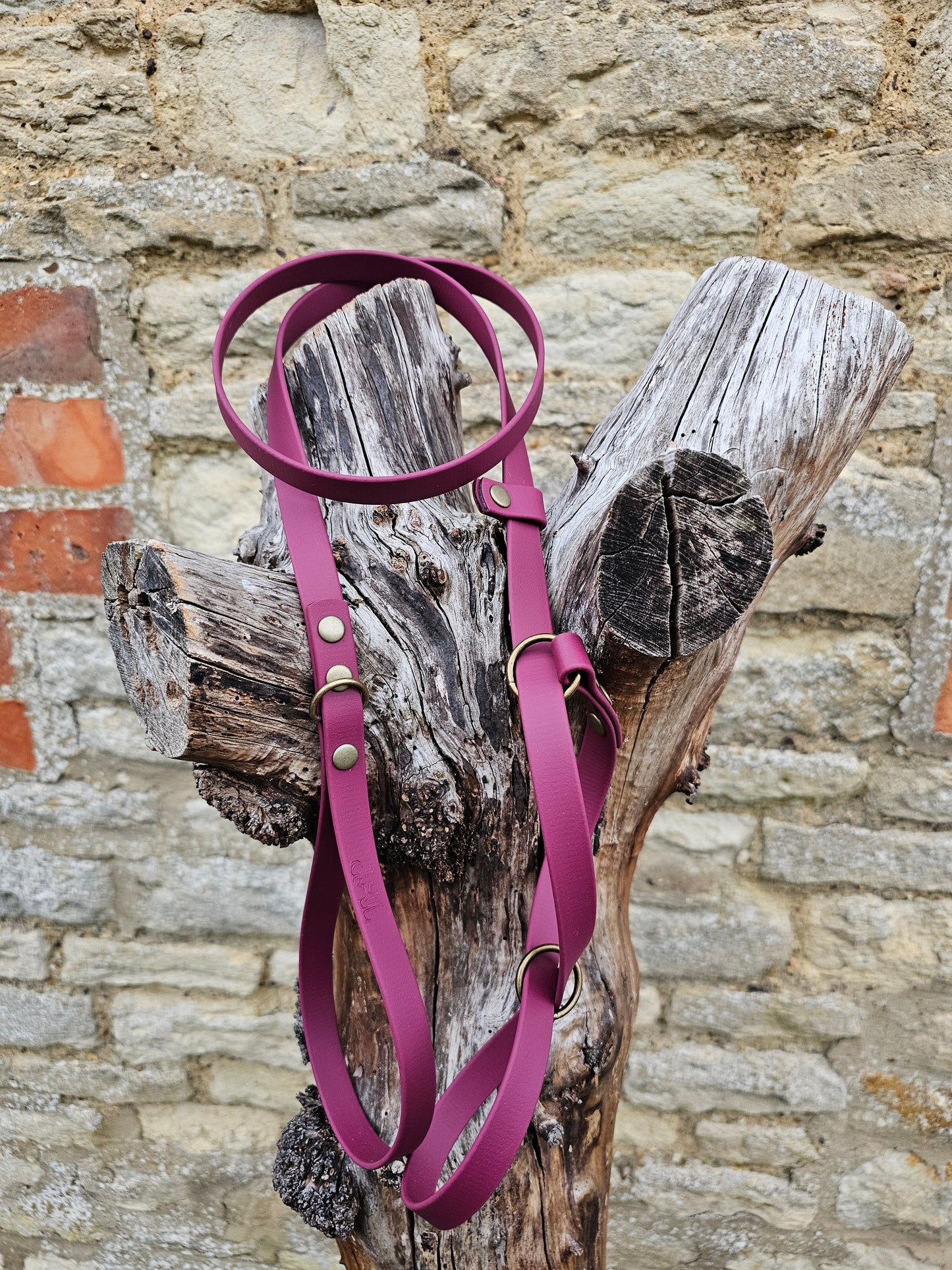 Burgundy - Waterproof BioThane© Dog Figure8 Lead