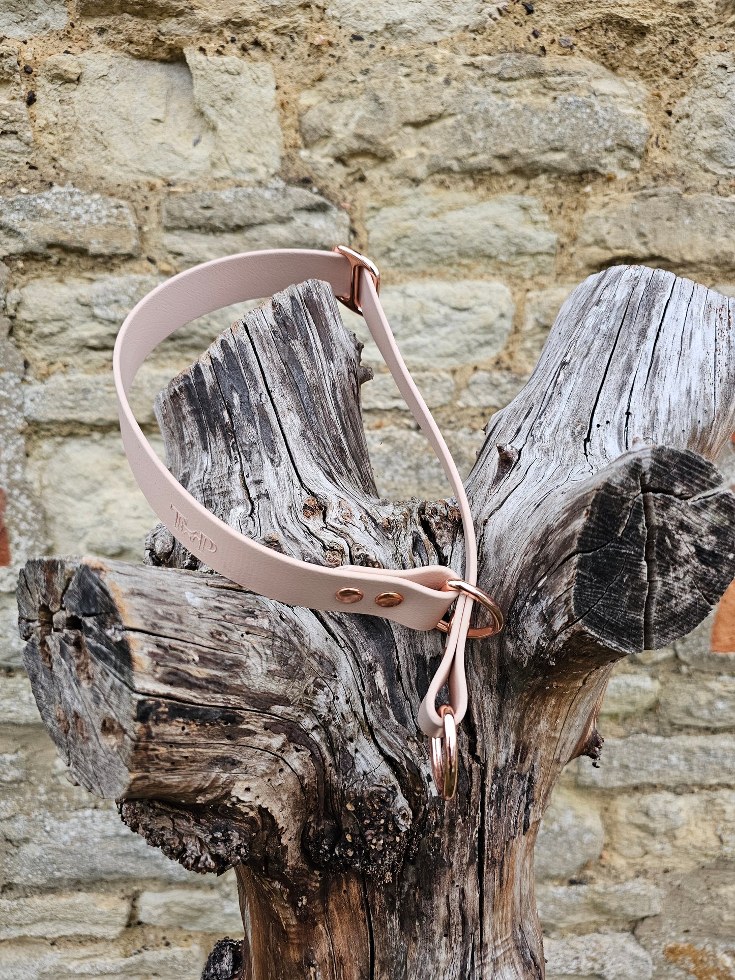 Powder Pearl - Waterproof BioThane© safe-stop Slip Dog Collar