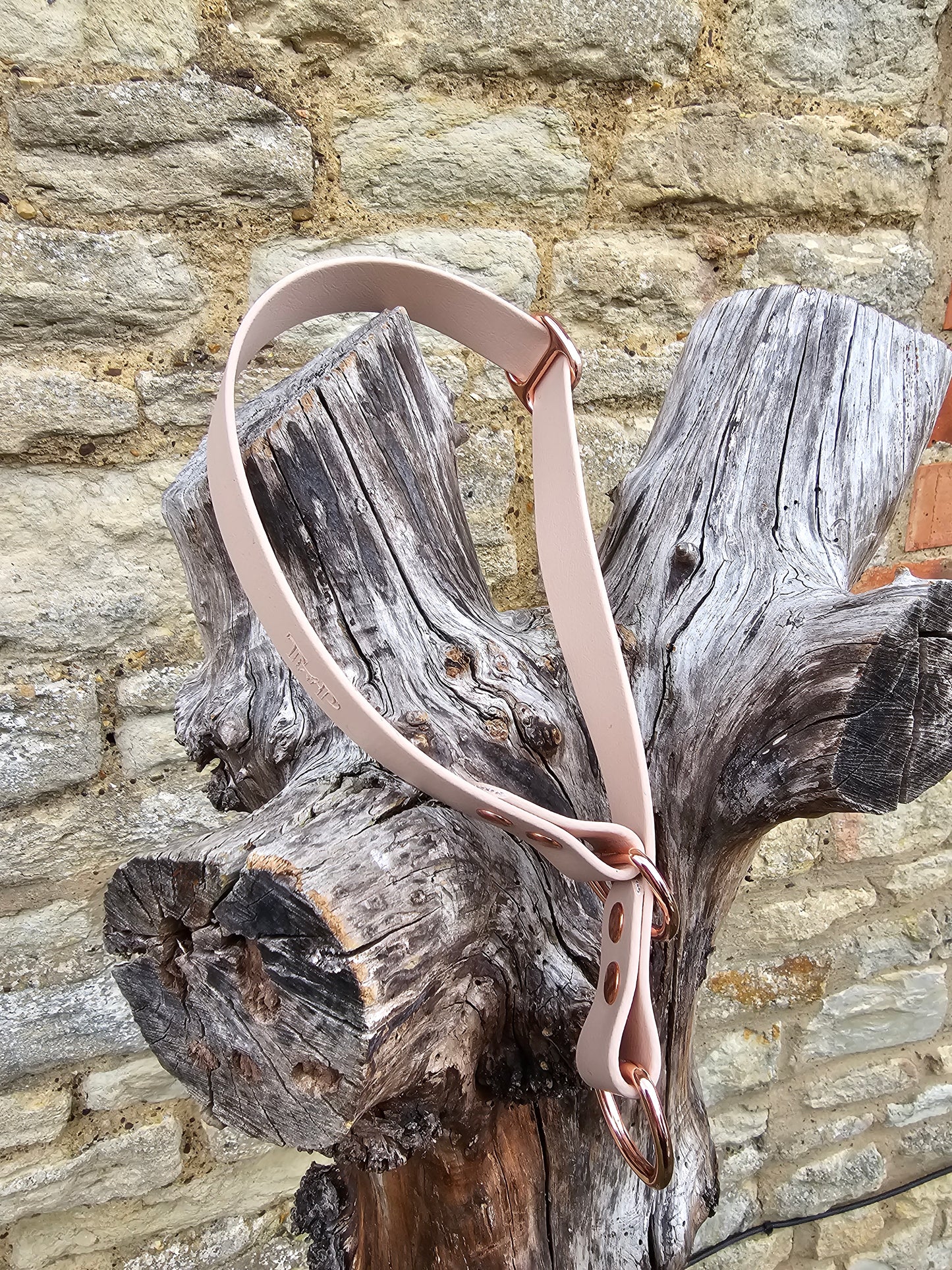 Powder Pearl - Waterproof BioThane© safe-stop Slip Dog Collar