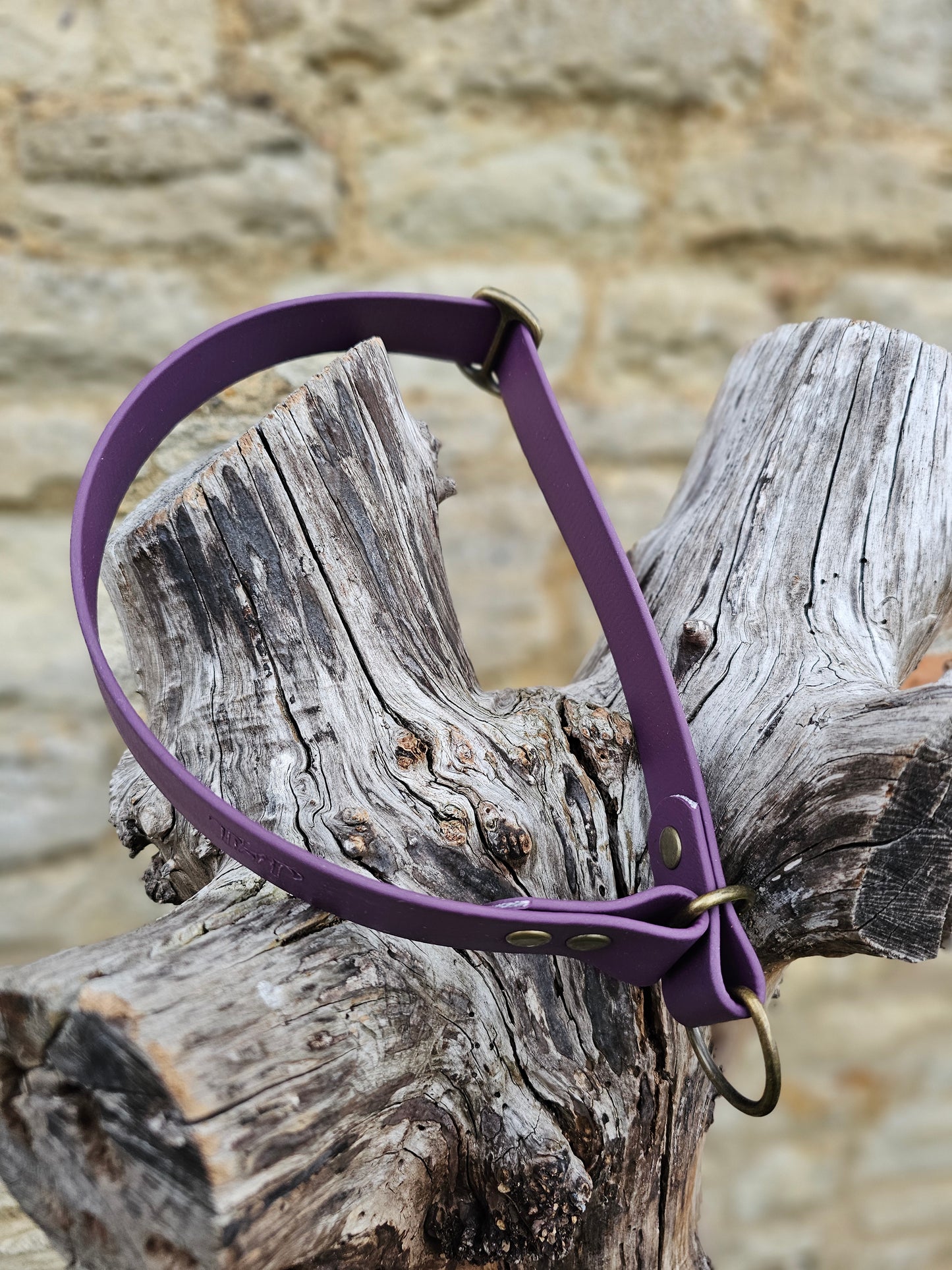 Aubergine Waterproof BioThane© safe-stop Slip Dog Collar