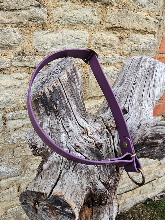 Aubergine Waterproof BioThane© safe-stop Slip Dog Collar