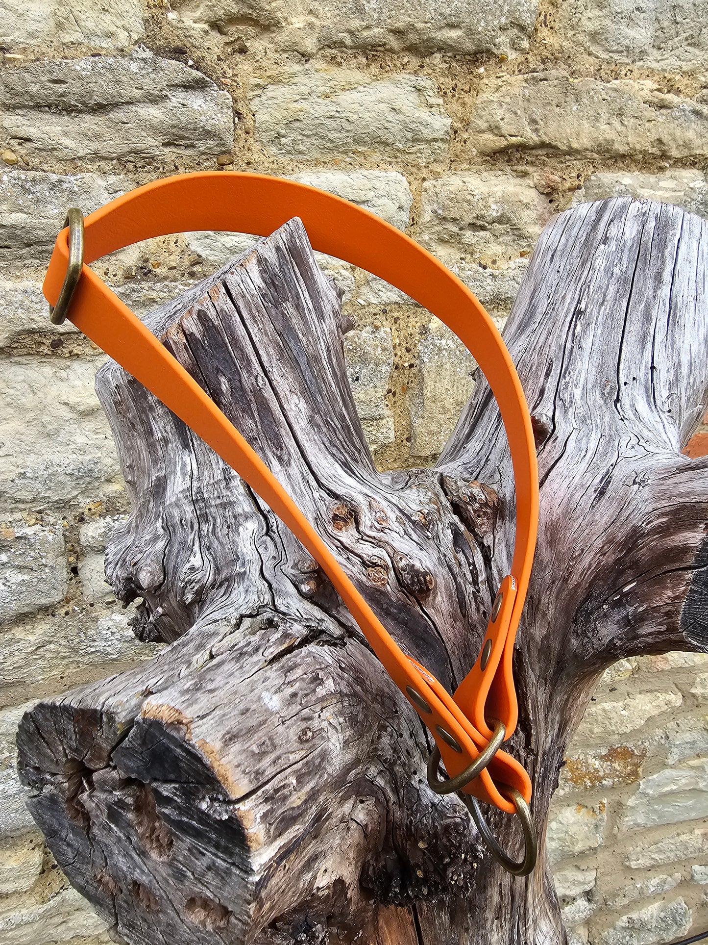 Burnt Orange - Waterproof BioThane© safe-stop Slip Dog Collar