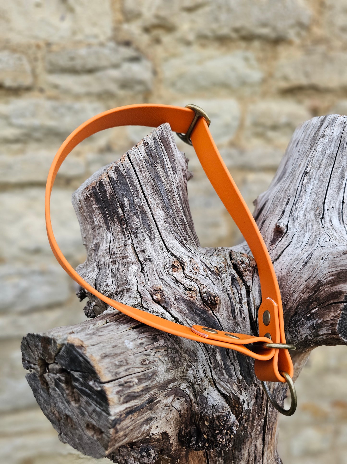 Burnt Orange - Waterproof BioThane© safe-stop Slip Dog Collar