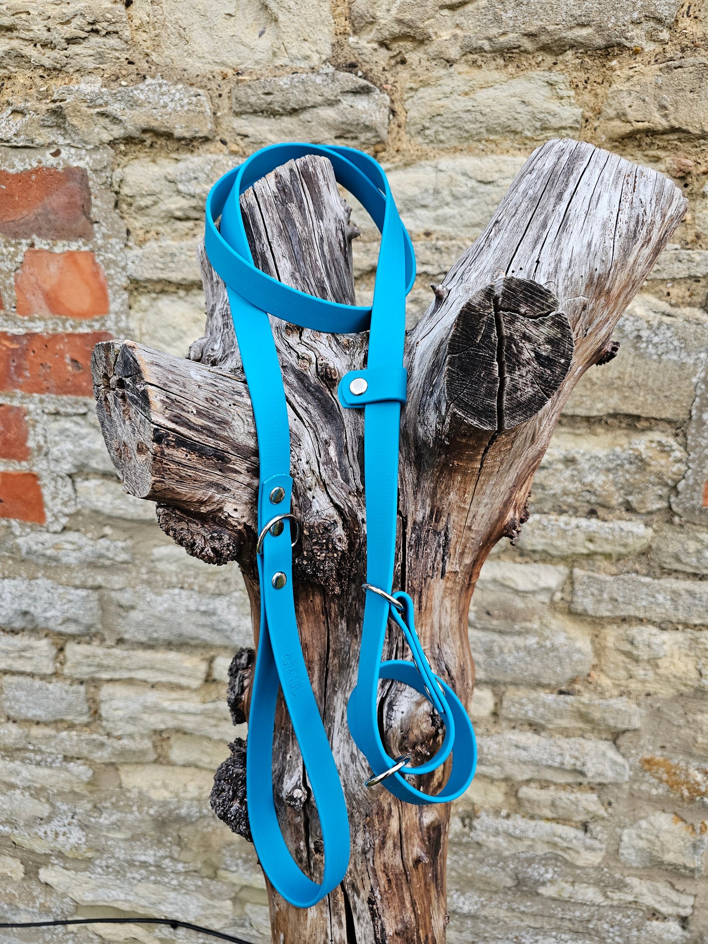 Lagune - Waterproof BioThane© Dog Figure8 Lead