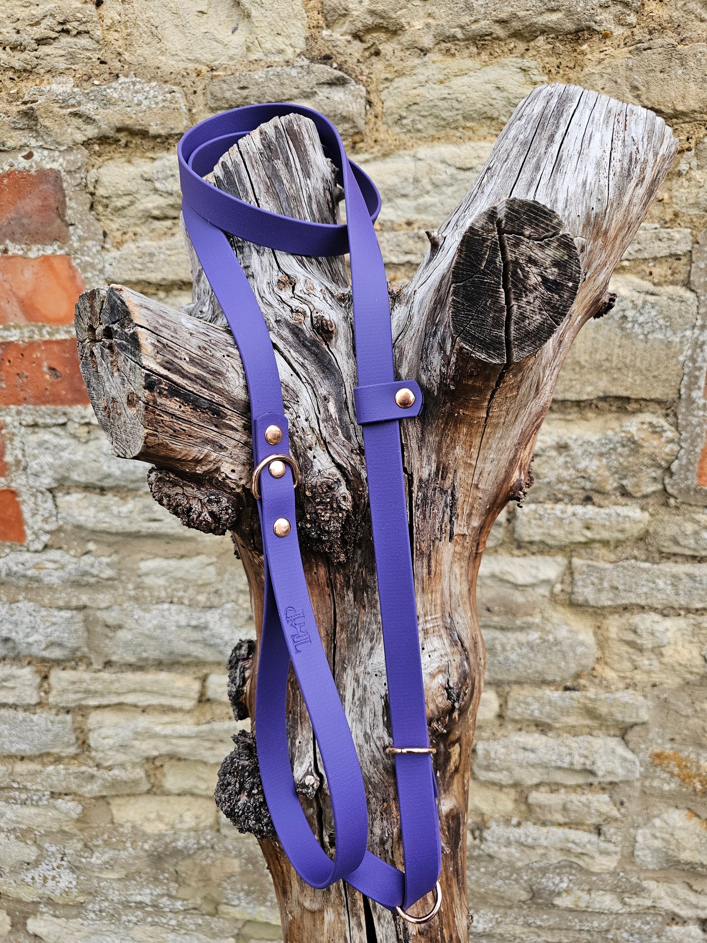 Purple - Waterproof BioThane© Dog Figure8 Lead