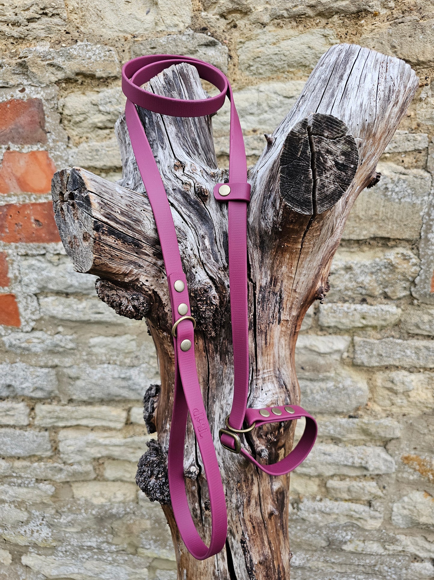 Burgundy - Waterproof BioThane© Dog Slip Lead