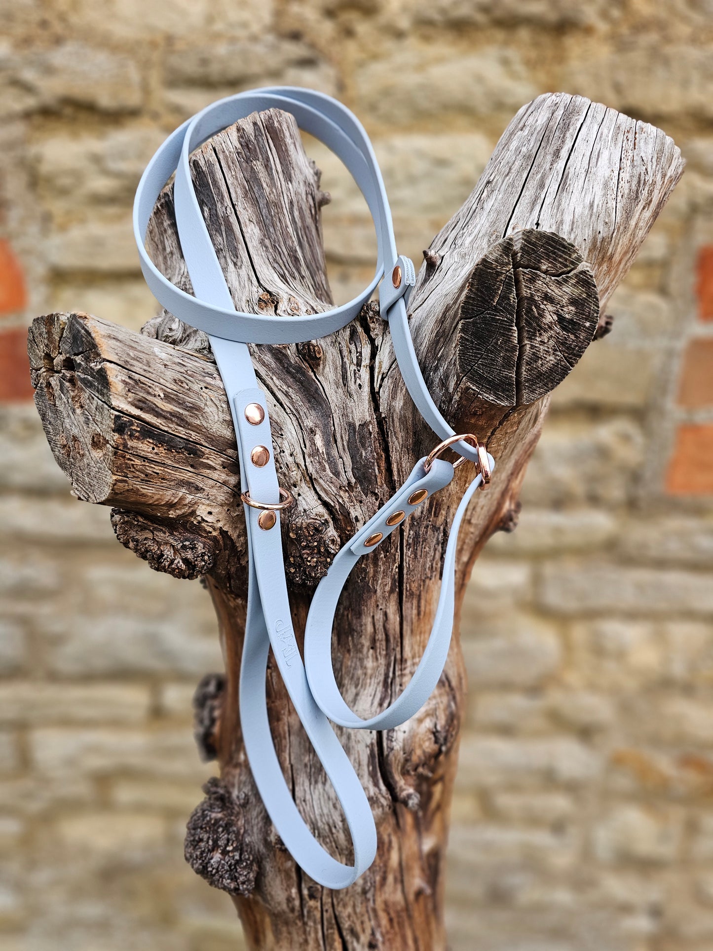 Baby Blue - Waterproof BioThane© Dog Slip Lead