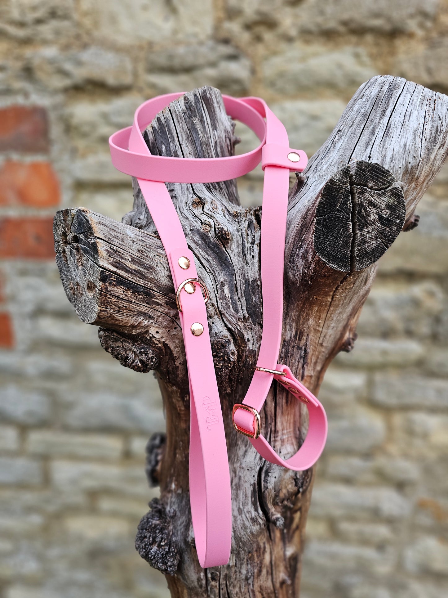 Baby Pink - Waterproof BioThane© Dog Slip Lead