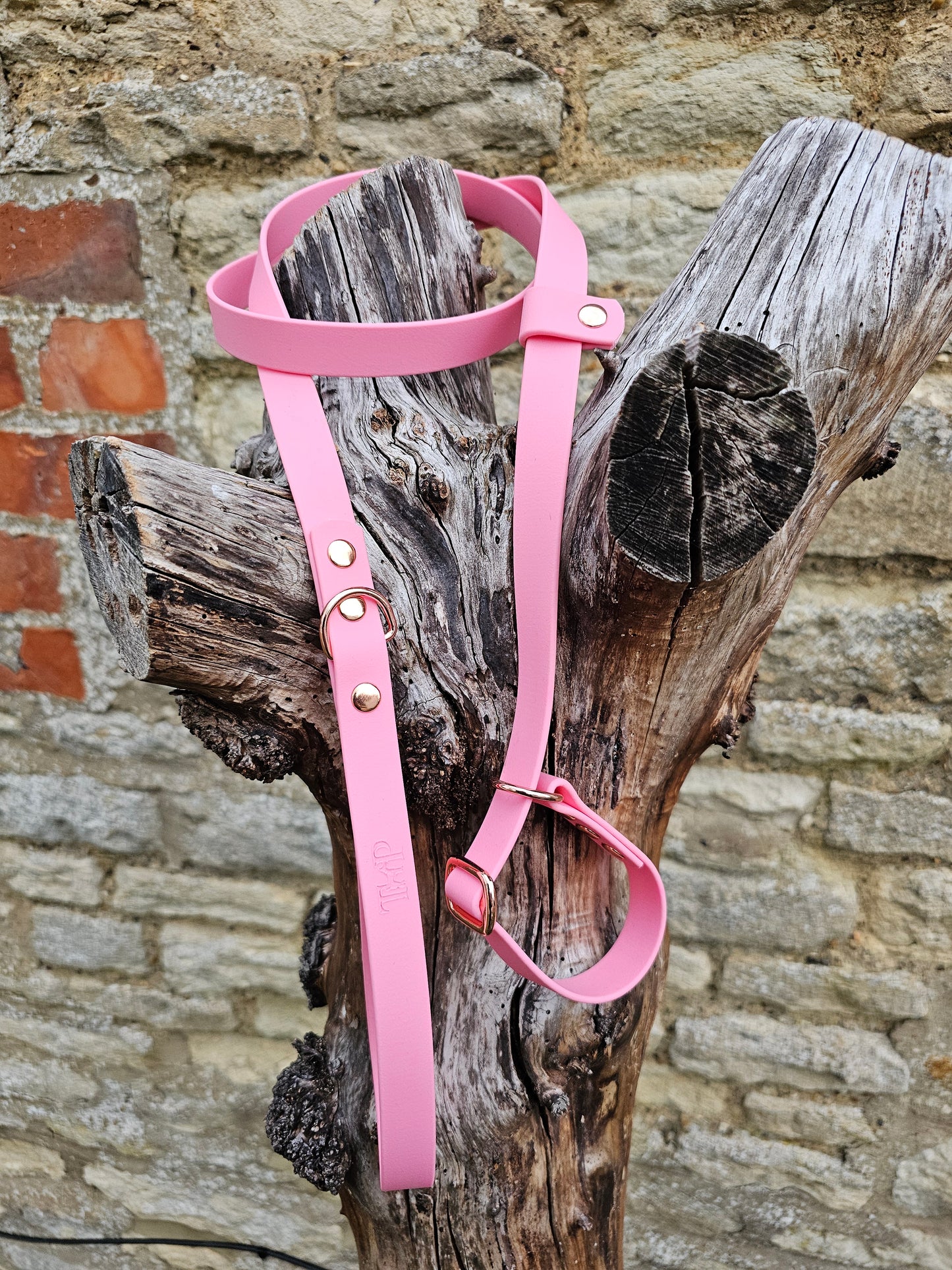 Baby Pink - Waterproof BioThane© Dog Slip Lead