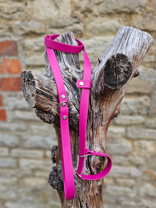 Magenta - Waterproof BioThane© Dog Slip Lead
