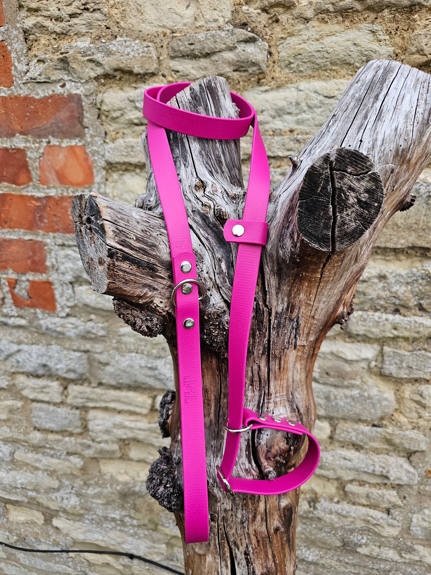 Magenta - Waterproof BioThane© Dog Slip Lead