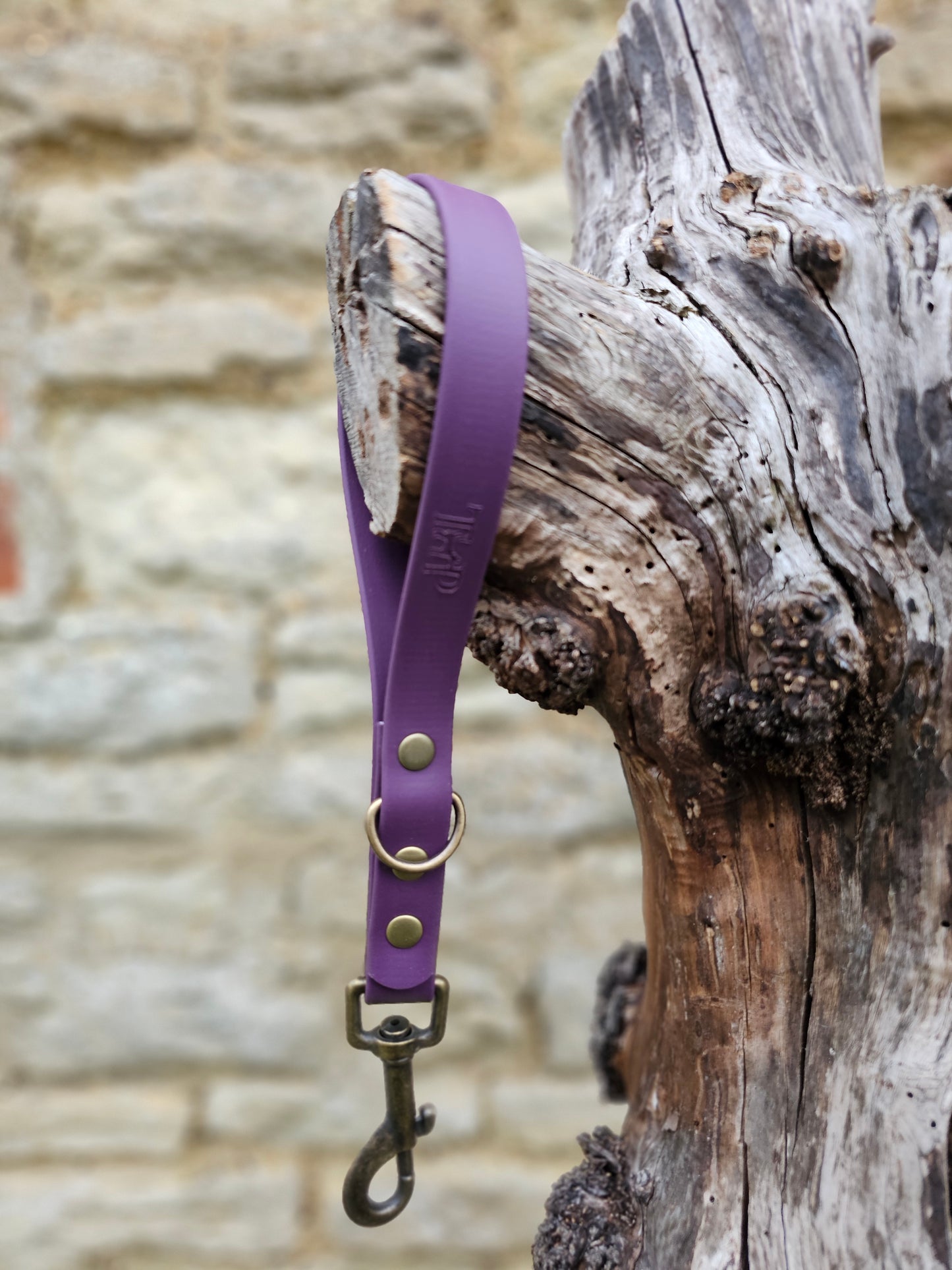 Aubergine - Waterproof BioThane® Traffic Handle – Dog Traffic Leash