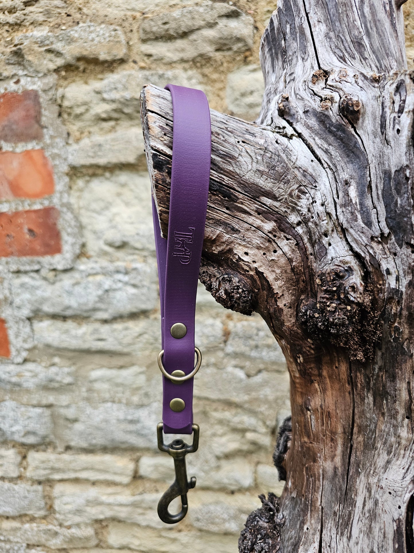 Aubergine - Waterproof BioThane® Traffic Handle – Dog Traffic Leash