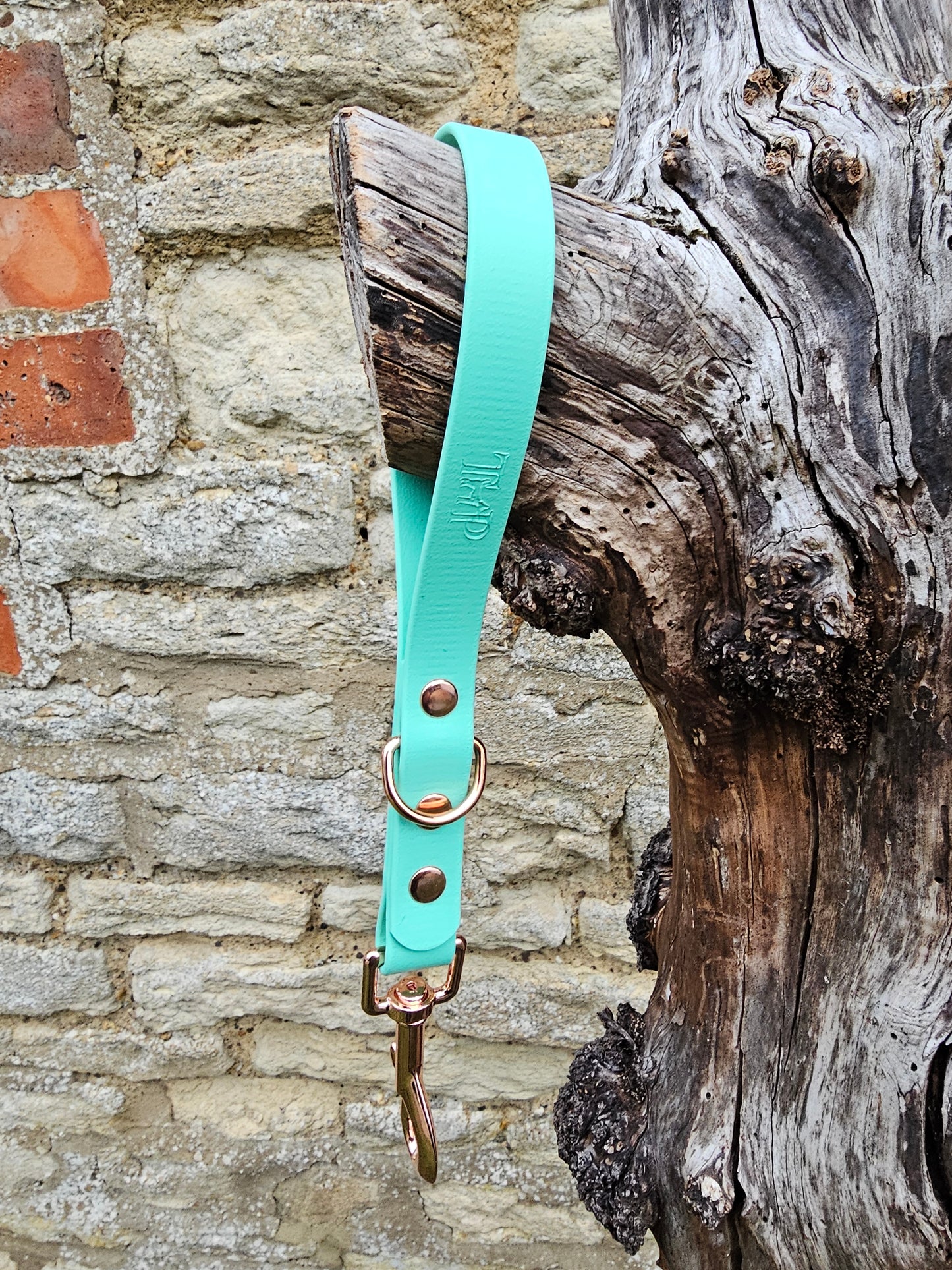 Mint - Waterproof BioThane® Traffic Handle – Dog Traffic Leash