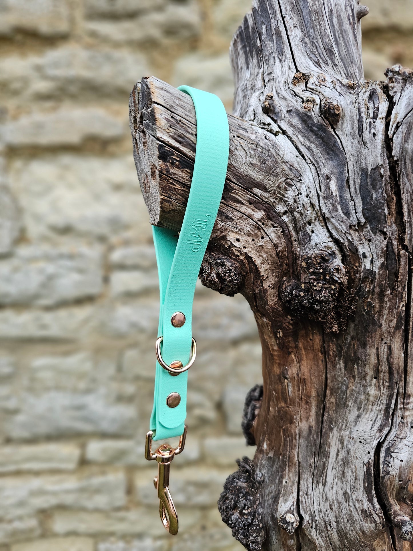 Mint - Waterproof BioThane® Traffic Handle – Dog Traffic Leash