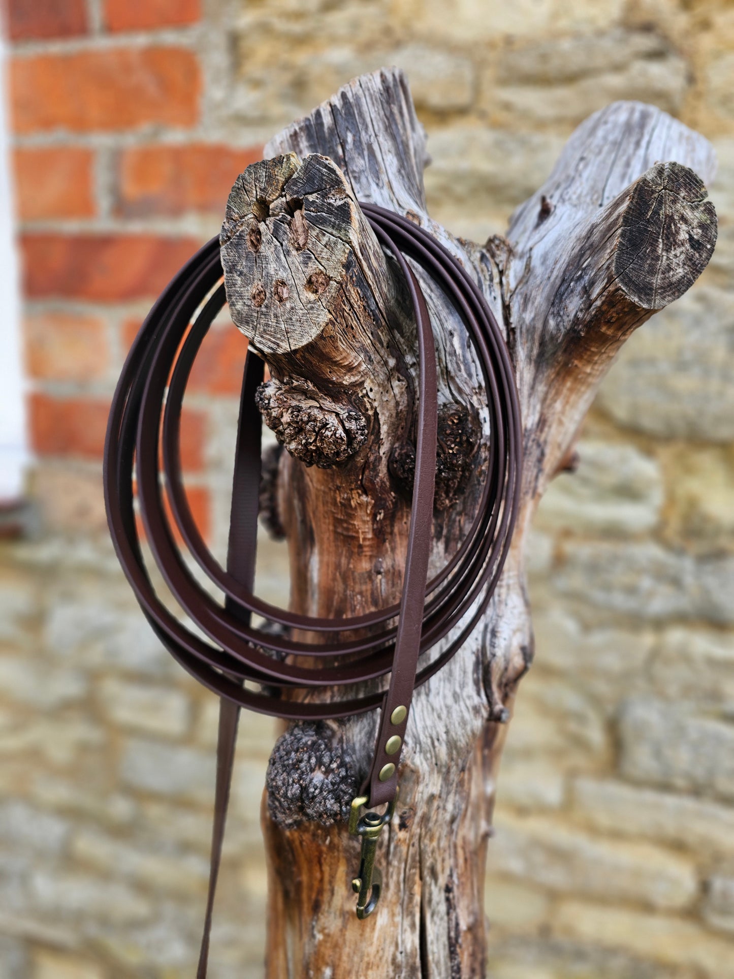 Dark Brown - Waterproof BioThane® Dog Long Line Lead