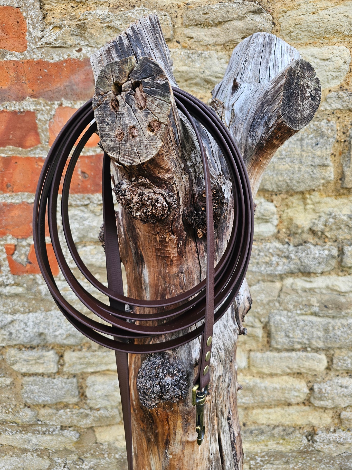 Dark Brown - Waterproof BioThane® Dog Long Line Lead