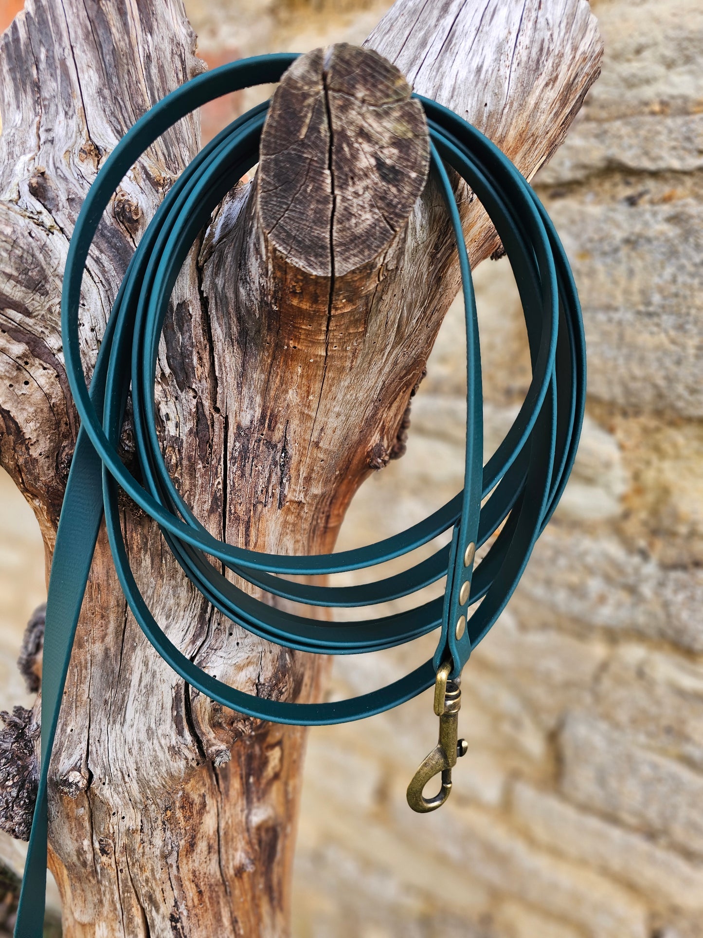 Dark Green - Waterproof BioThane® Dog Long Line Lead