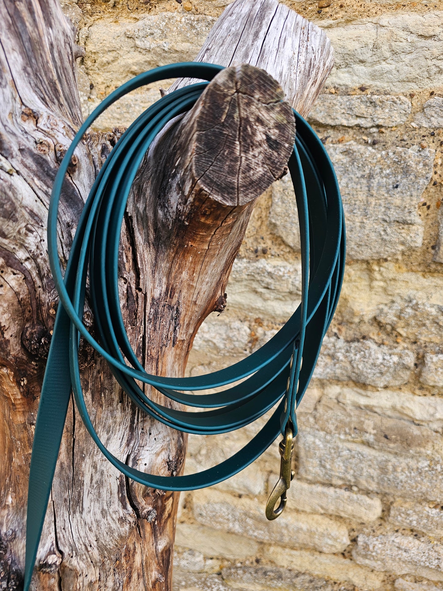 Dark Green - Waterproof BioThane® Dog Long Line Lead