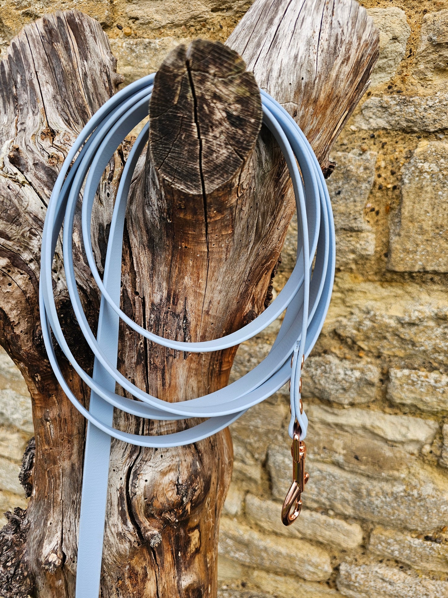 Baby Blue - Waterproof BioThane® Dog Long Line Lead