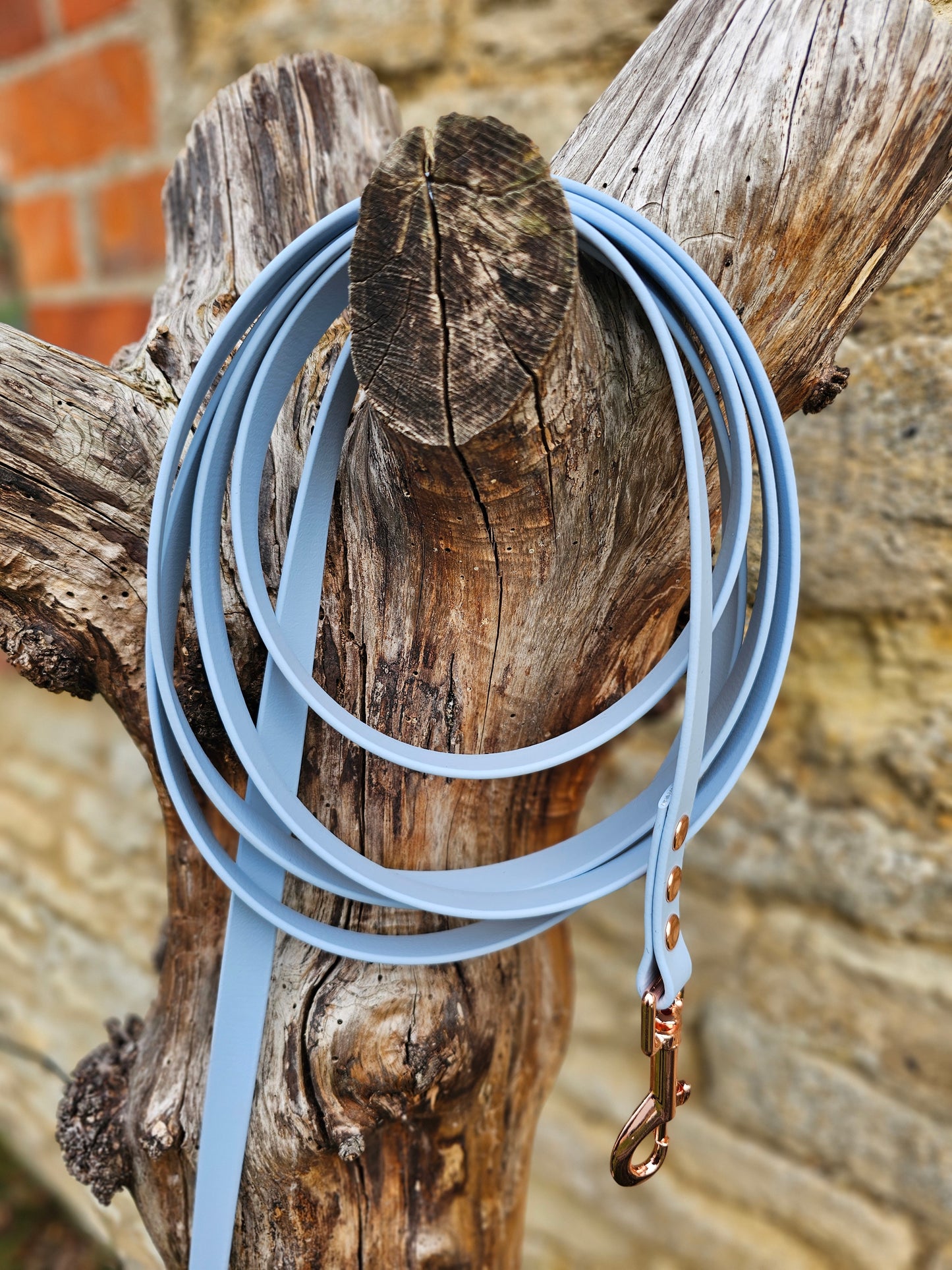 Baby Blue - Waterproof BioThane® Dog Long Line Lead