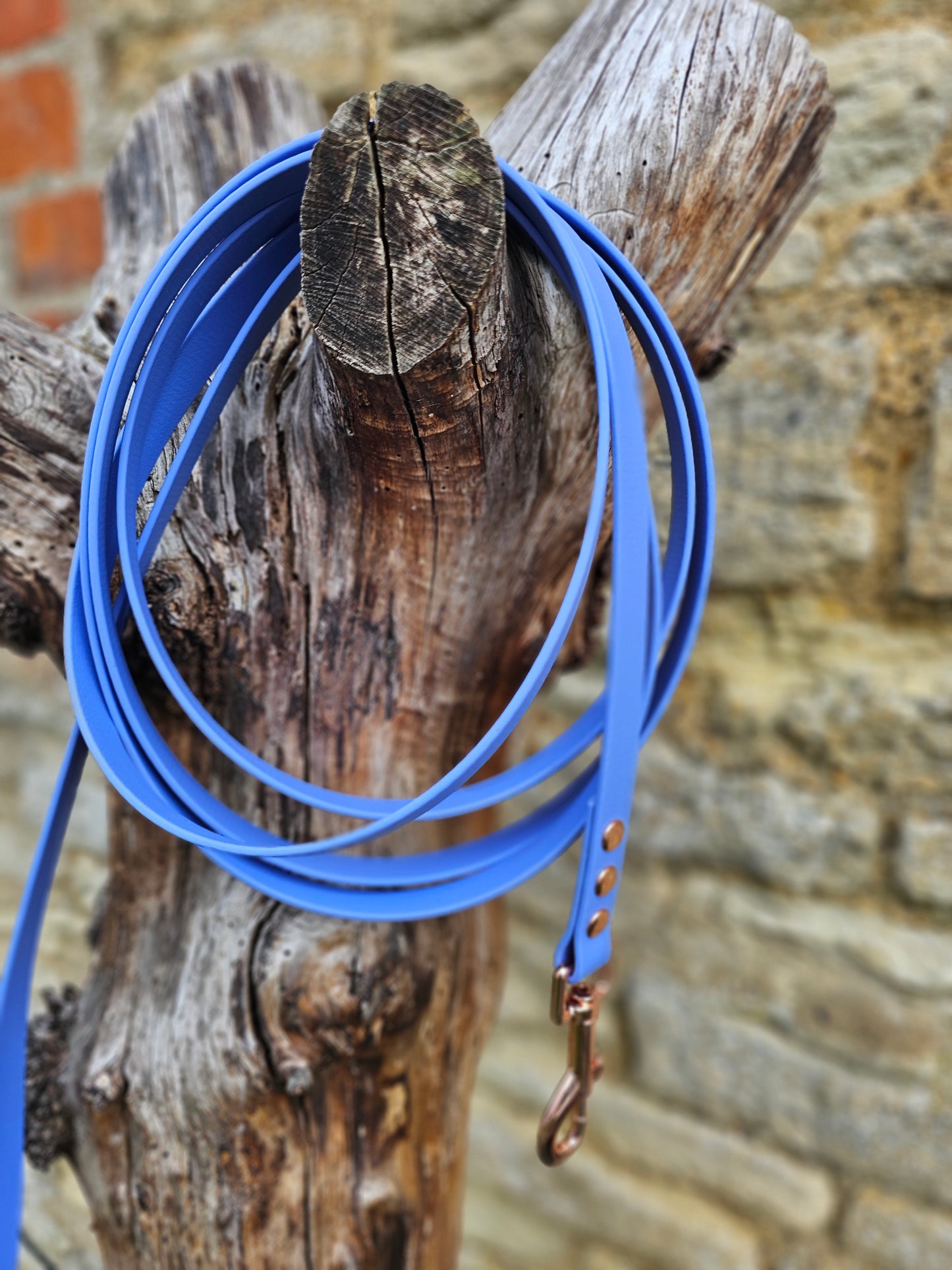 Periwinkle - Waterproof BioThane® Dog Long Line Lead