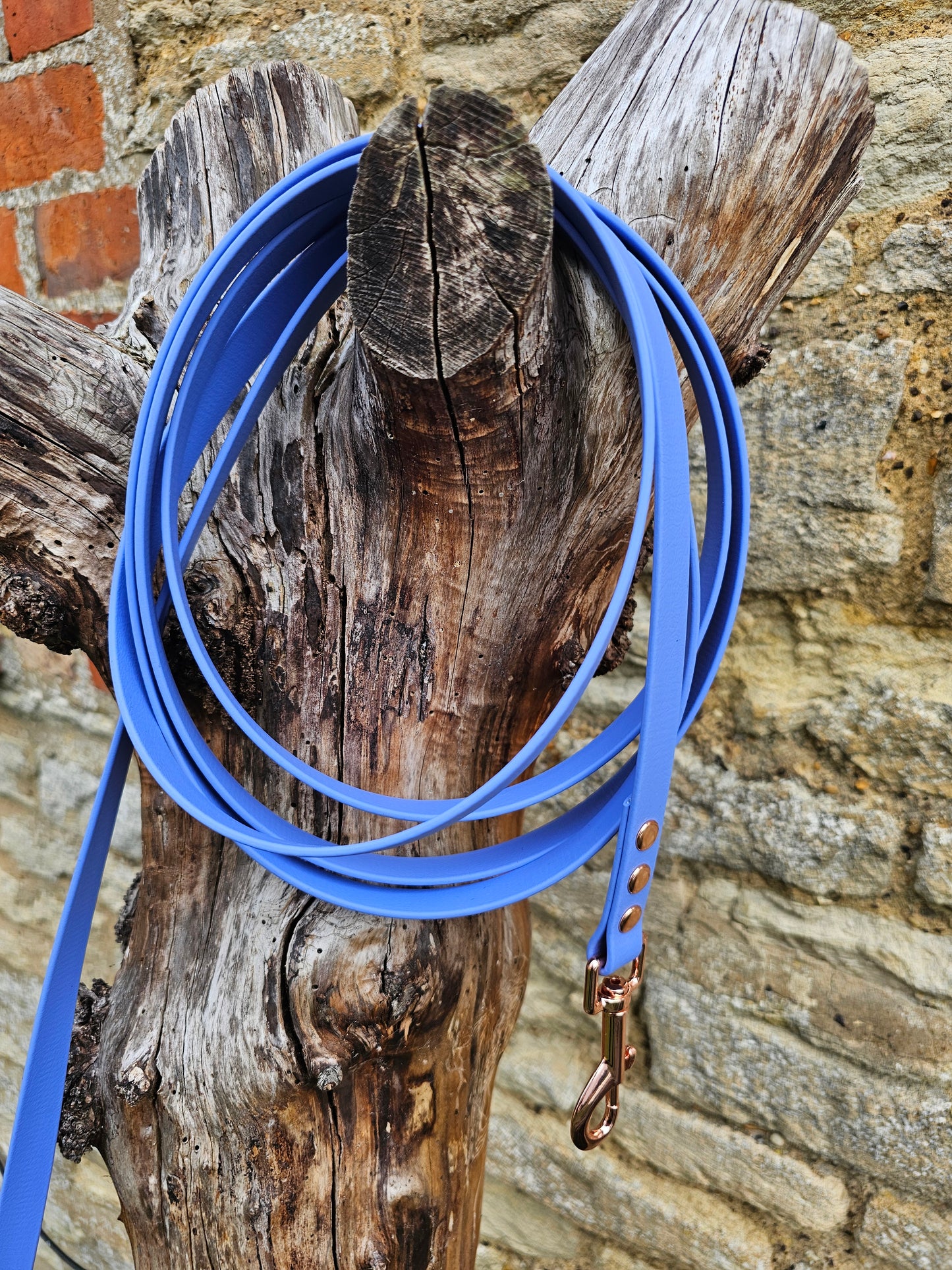 Periwinkle - Waterproof BioThane® Dog Long Line Lead