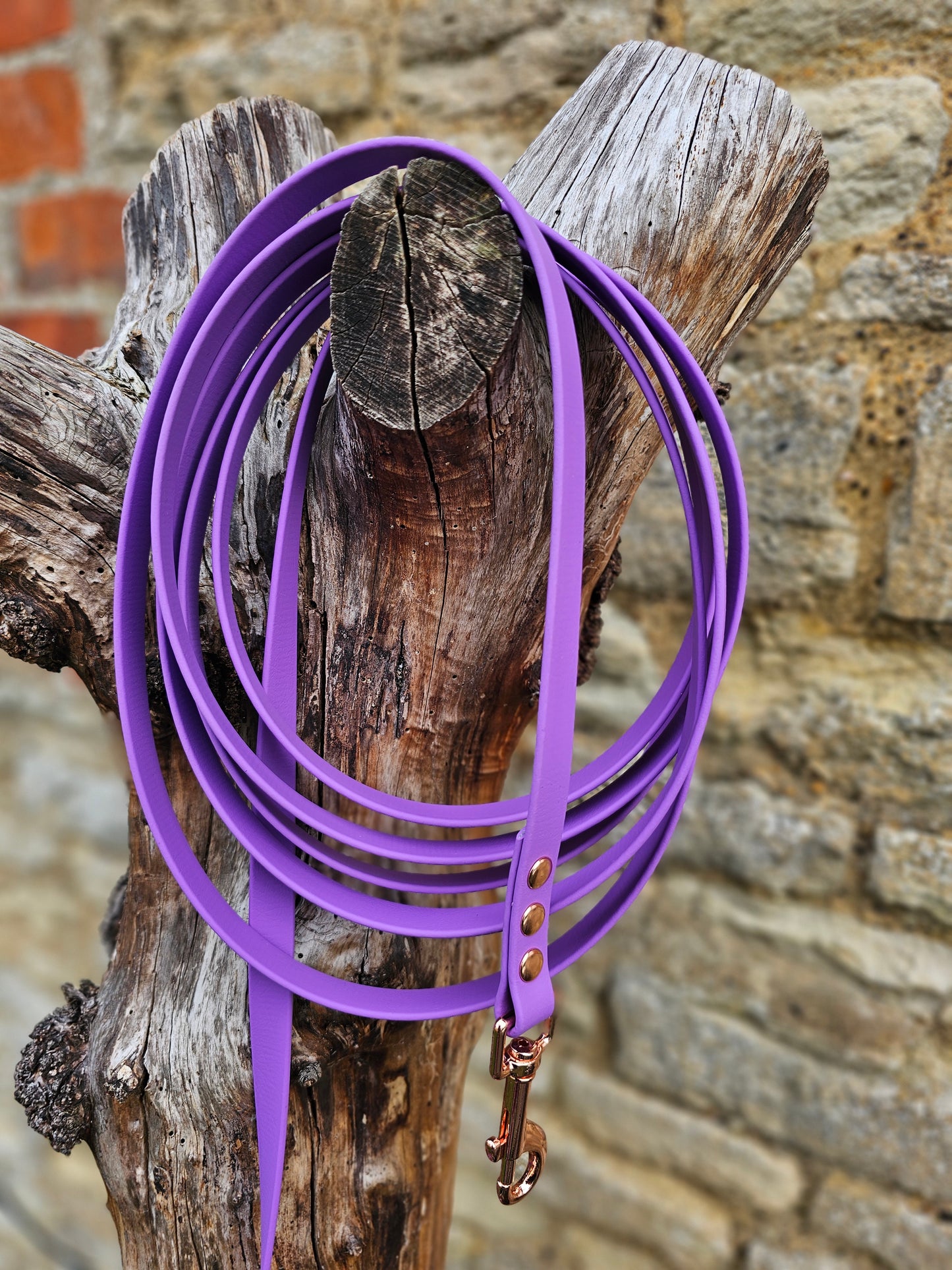 Amethyst - Waterproof BioThane® Dog Long Line Lead