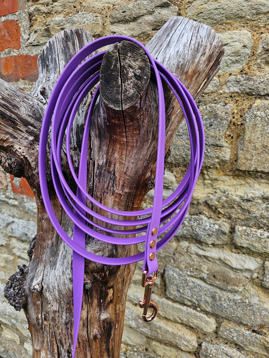 Amethyst - Waterproof BioThane® Dog Long Line Lead