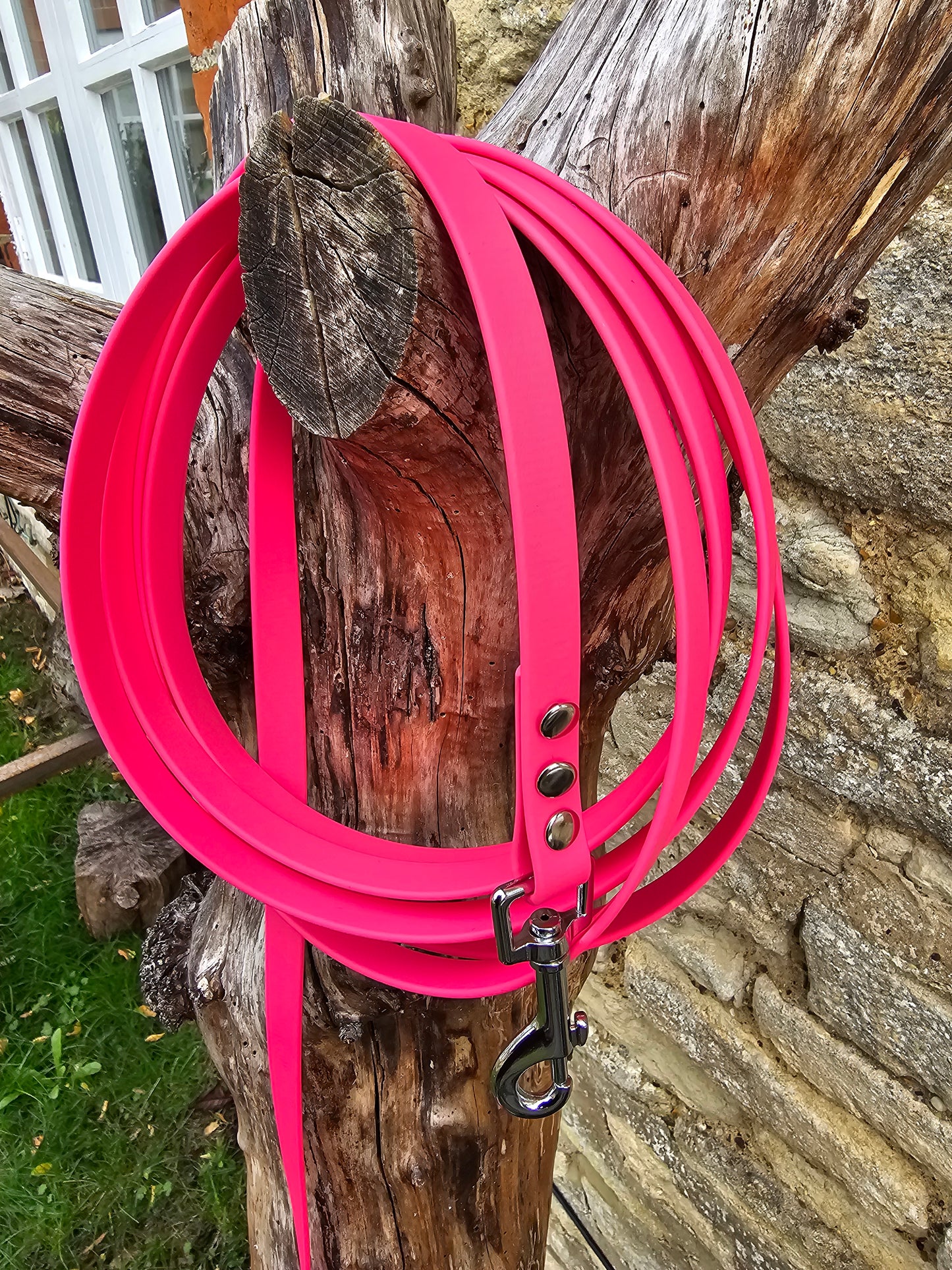 Passion Pink - Waterproof BioThane® Dog Long Line Lead