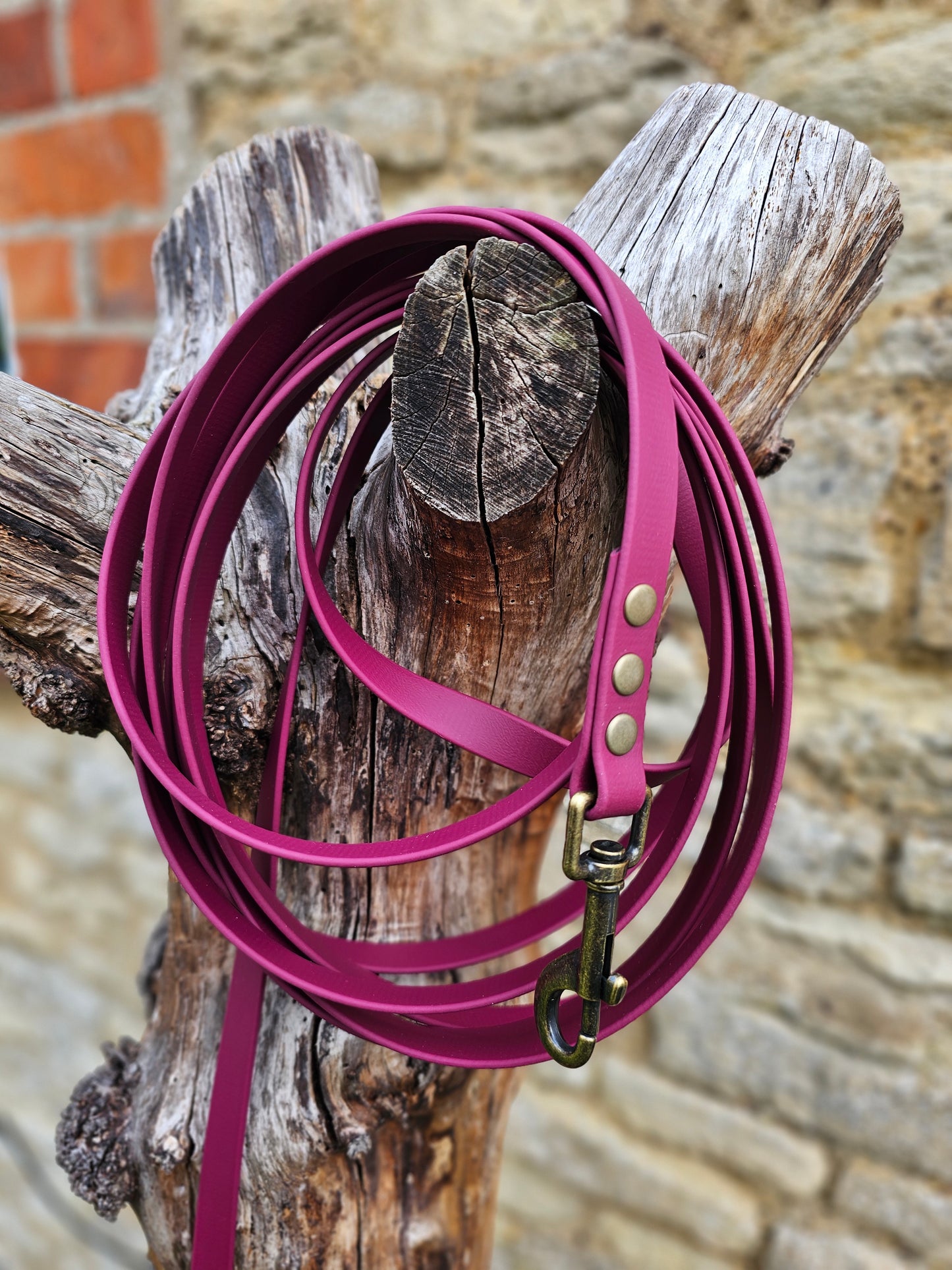 Burgundy - Waterproof BioThane® Dog Long Line Lead