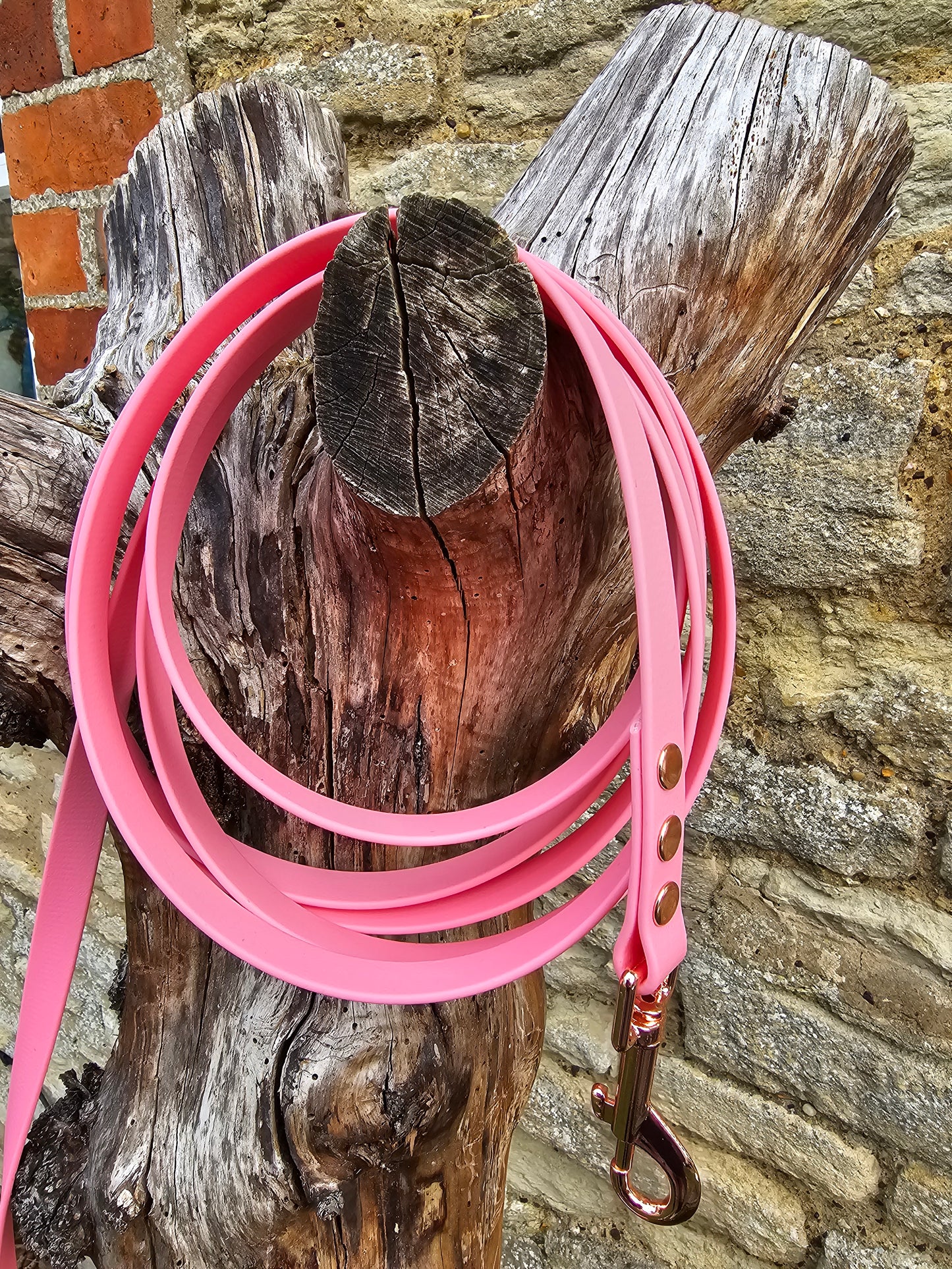 Baby Pink - Waterproof BioThane® Dog Long Line Lead