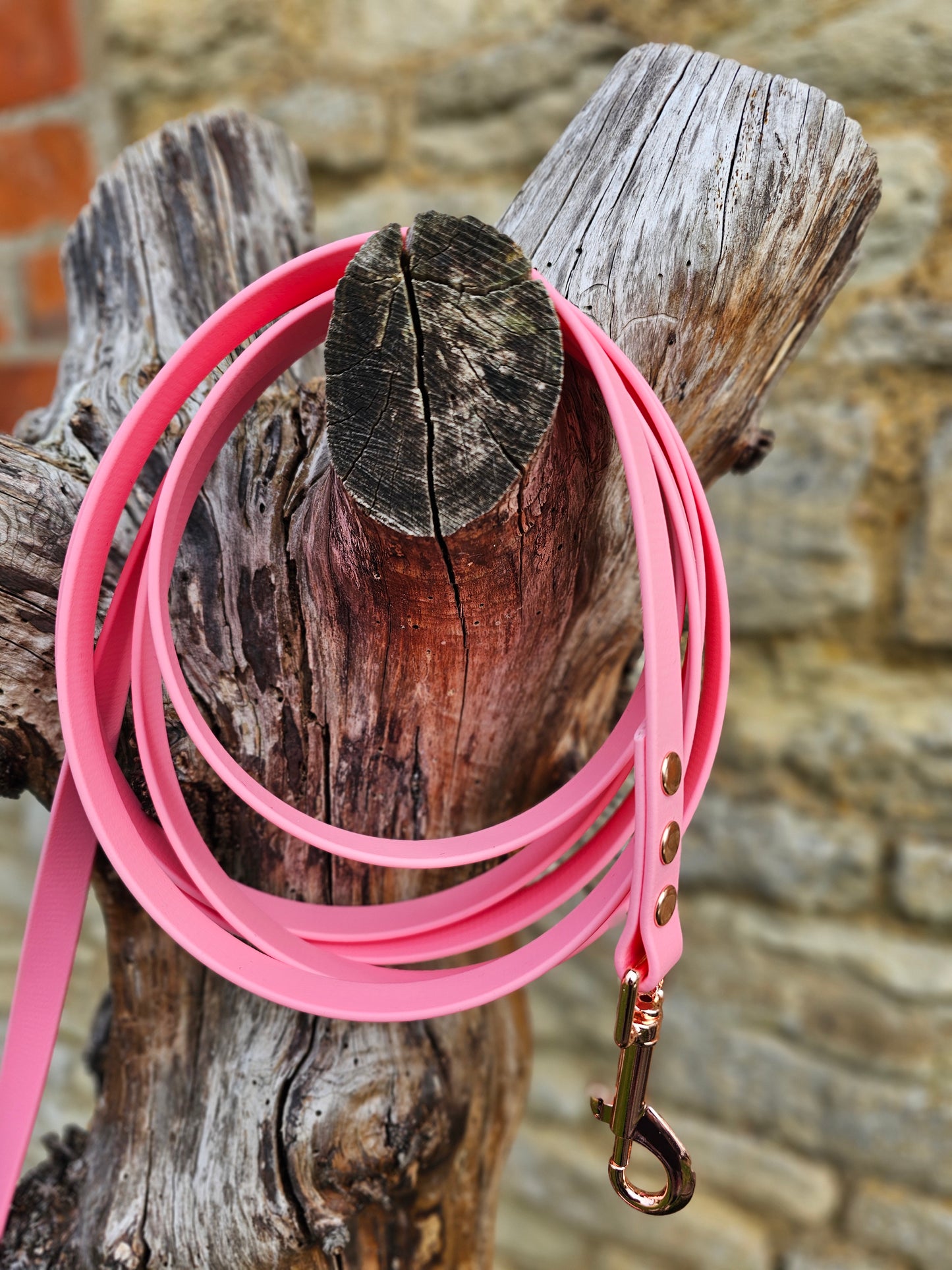 Baby Pink - Waterproof BioThane® Dog Long Line Lead