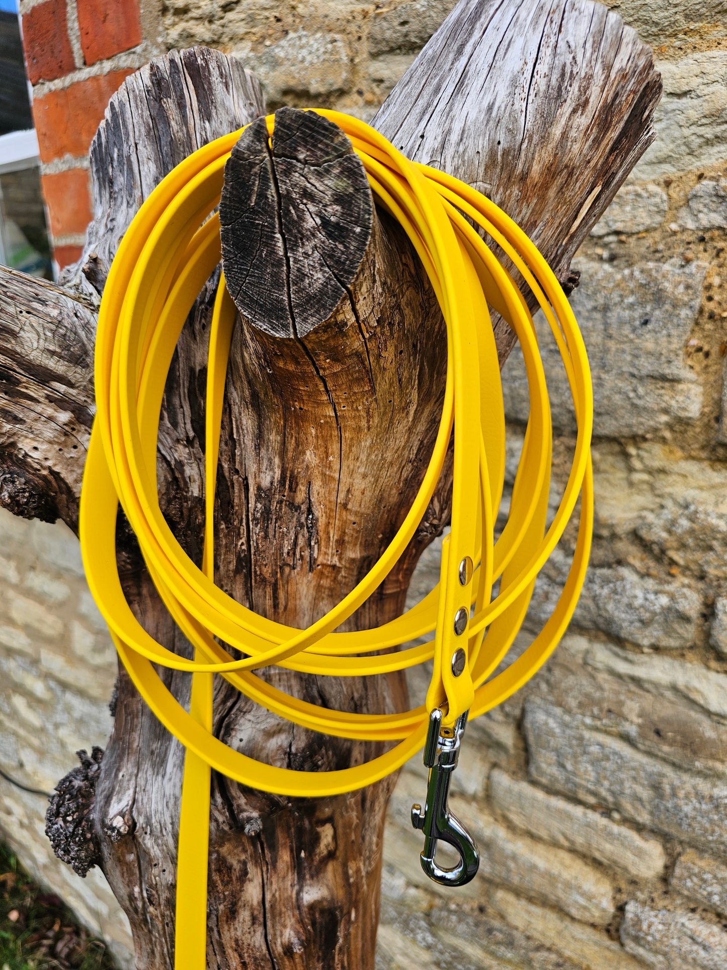 Yellow - Waterproof BioThane® Dog Long Line Lead