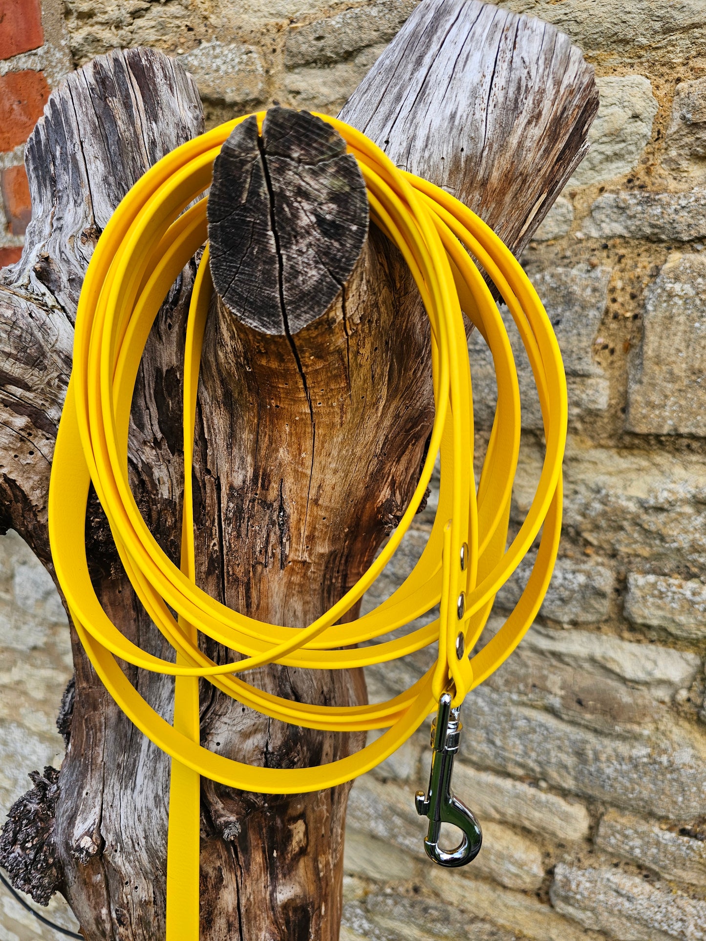 Yellow - Waterproof BioThane® Dog Long Line Lead