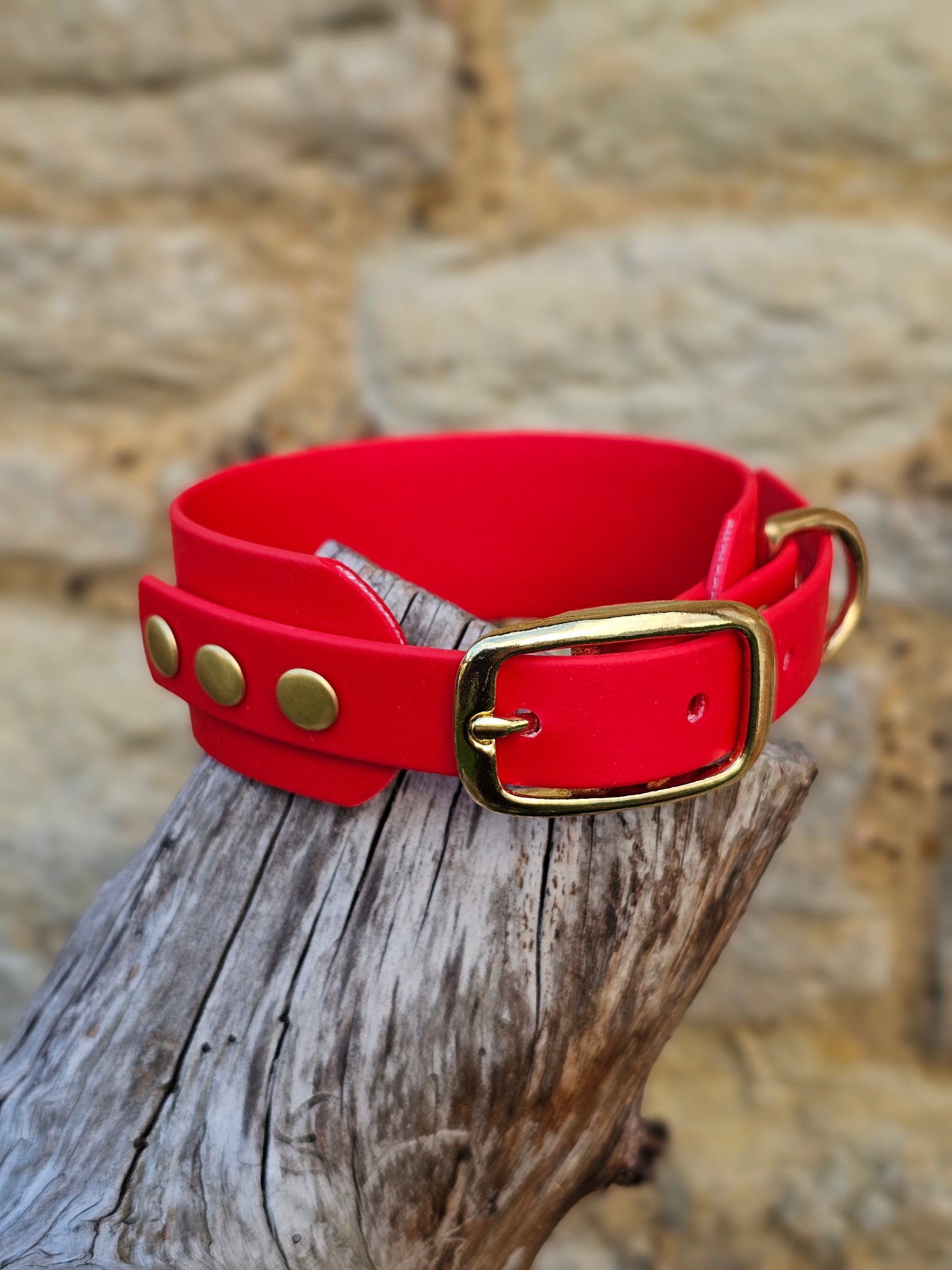 Red - Waterproof BioThane© Wide Fit Dog Collar / Martingale Collar