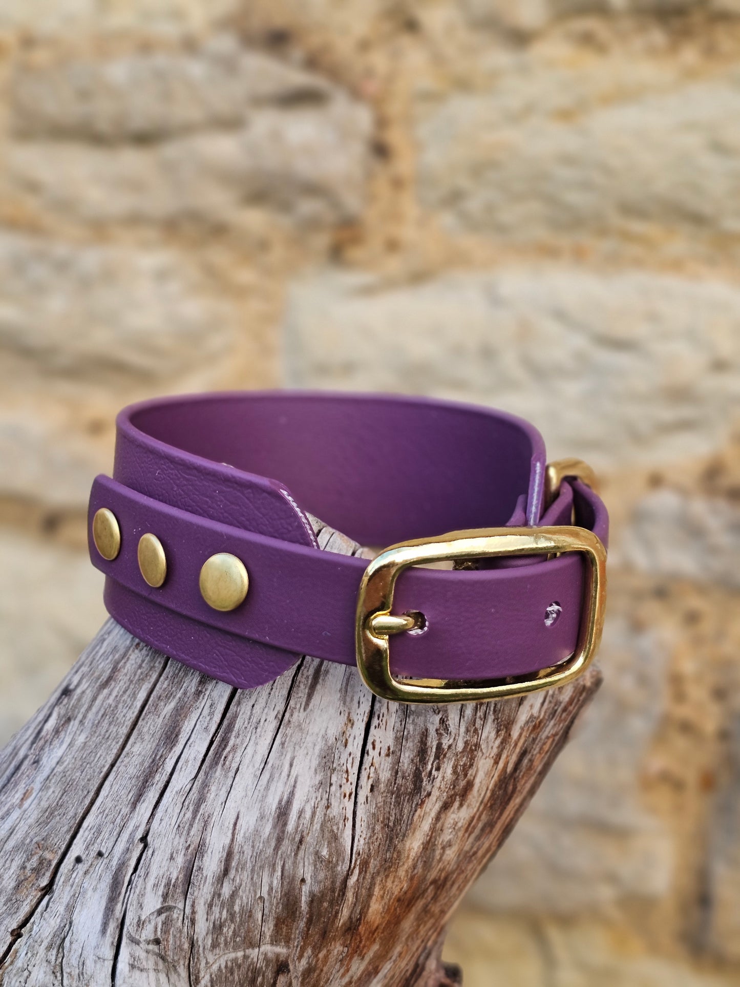 Aubergine - Waterproof BioThane© Wide Fit Dog Collar  / Martingale Collar