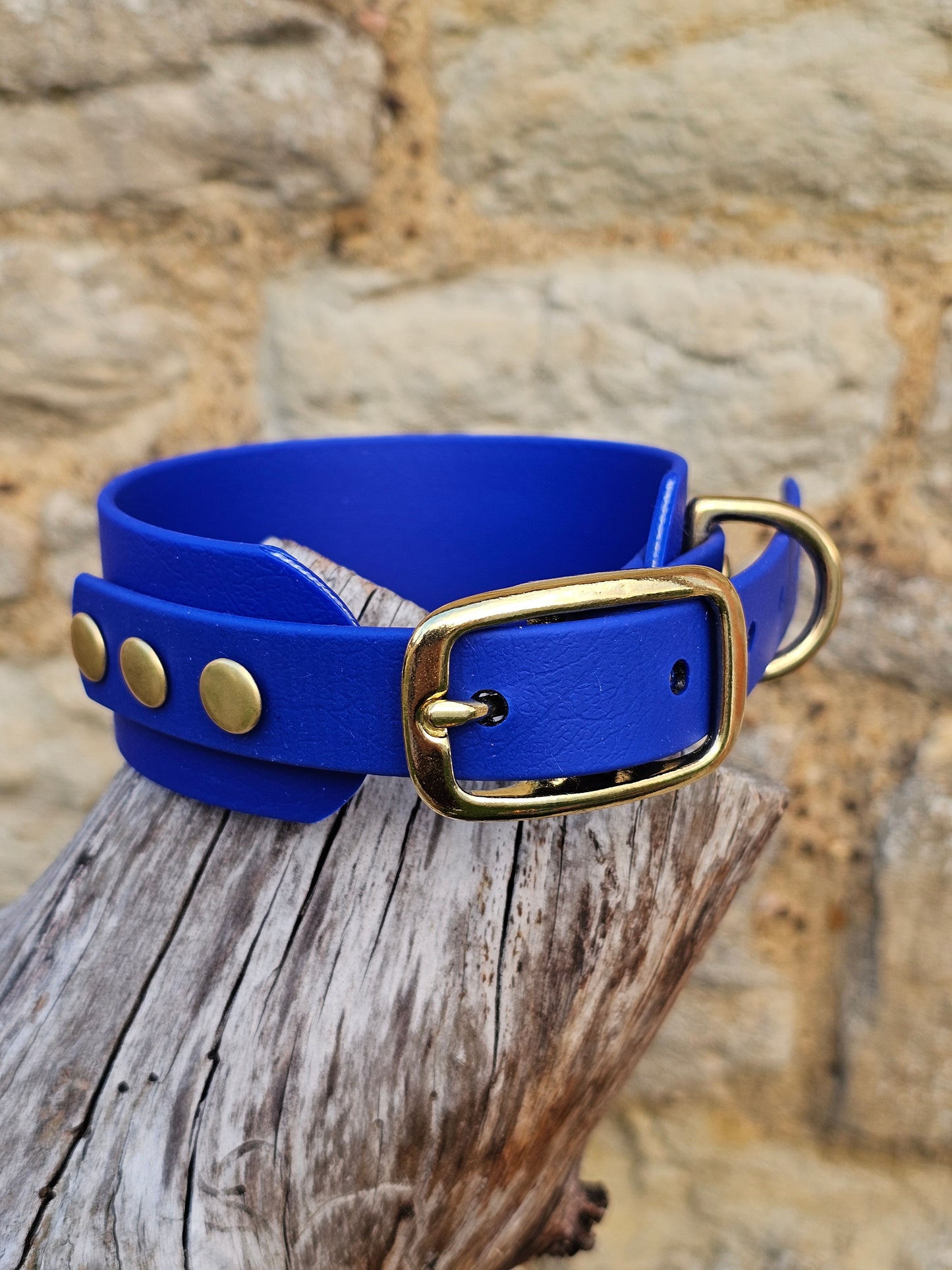 Royal Blue - Waterproof BioThane© Wide Fit Dog Collar / Martingale Collar