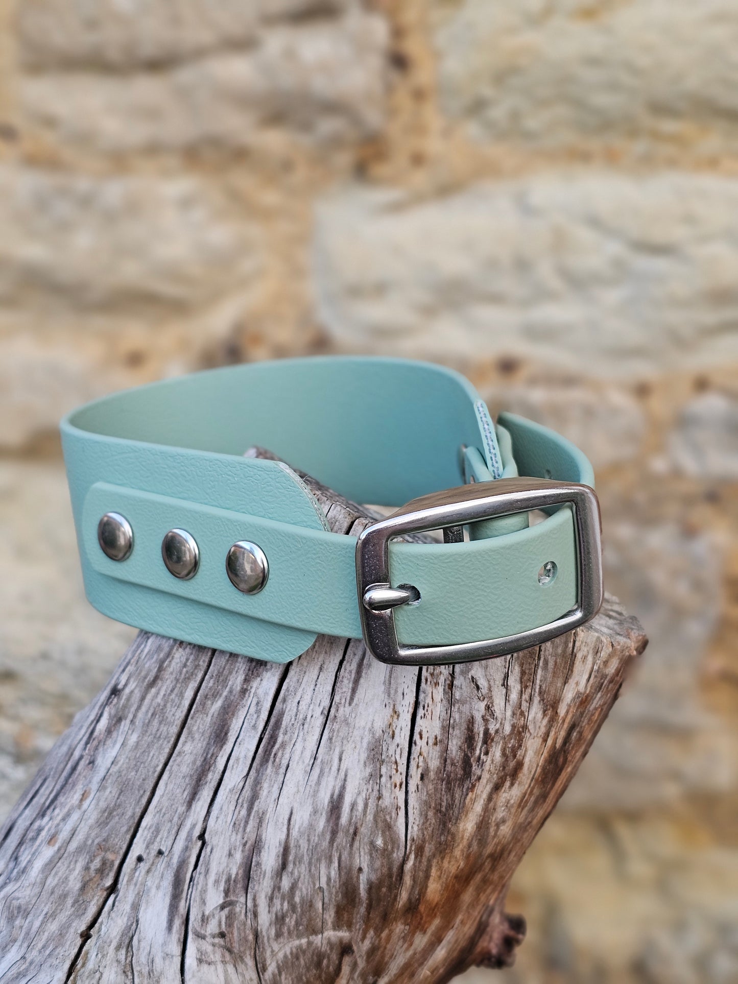 Sage - Waterproof BioThane© Wide Fit Dog Collar  / Martingale Collar