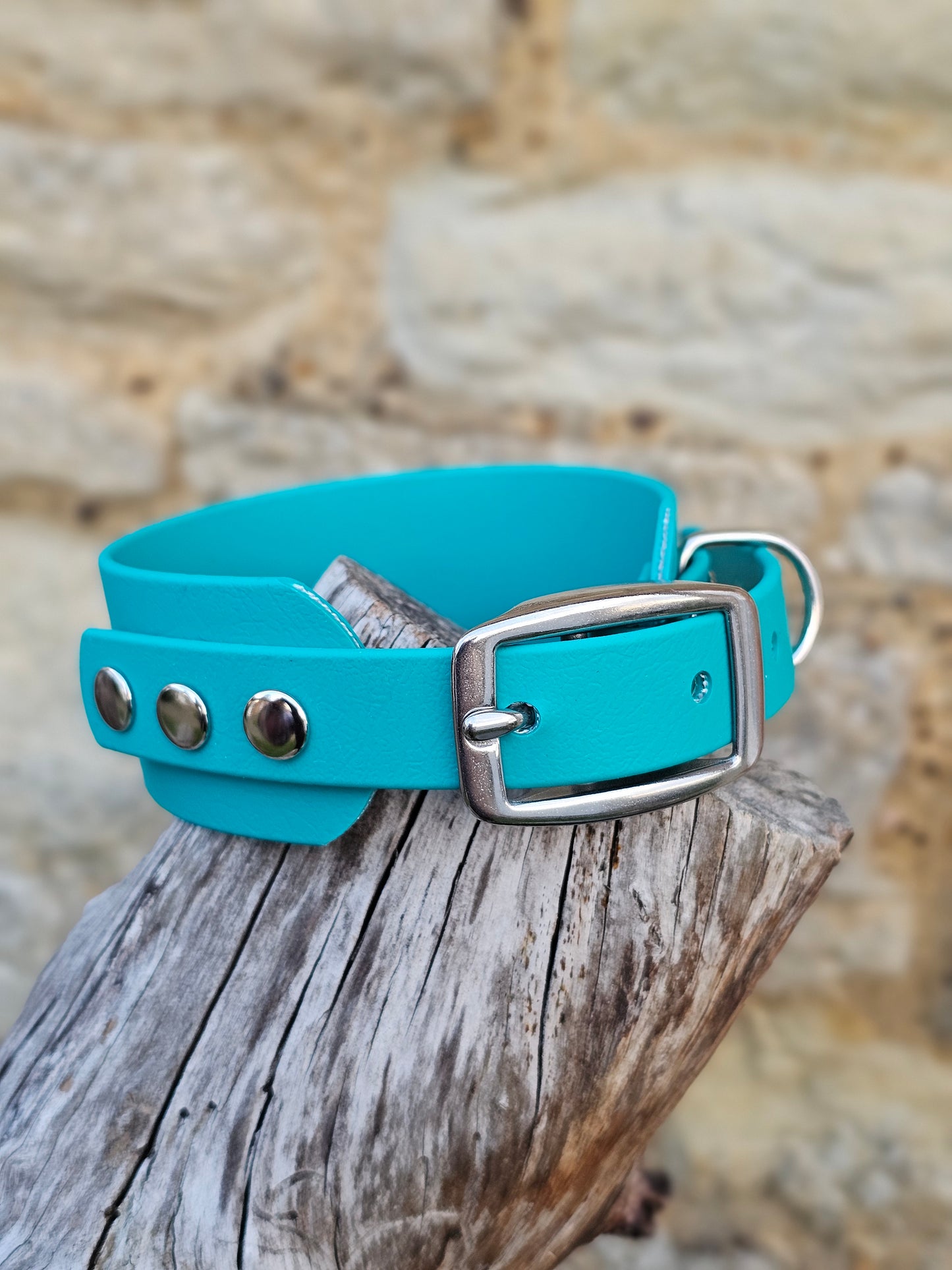 Teal - Waterproof BioThane© Wide Fit Dog Collar / Martingale Collar