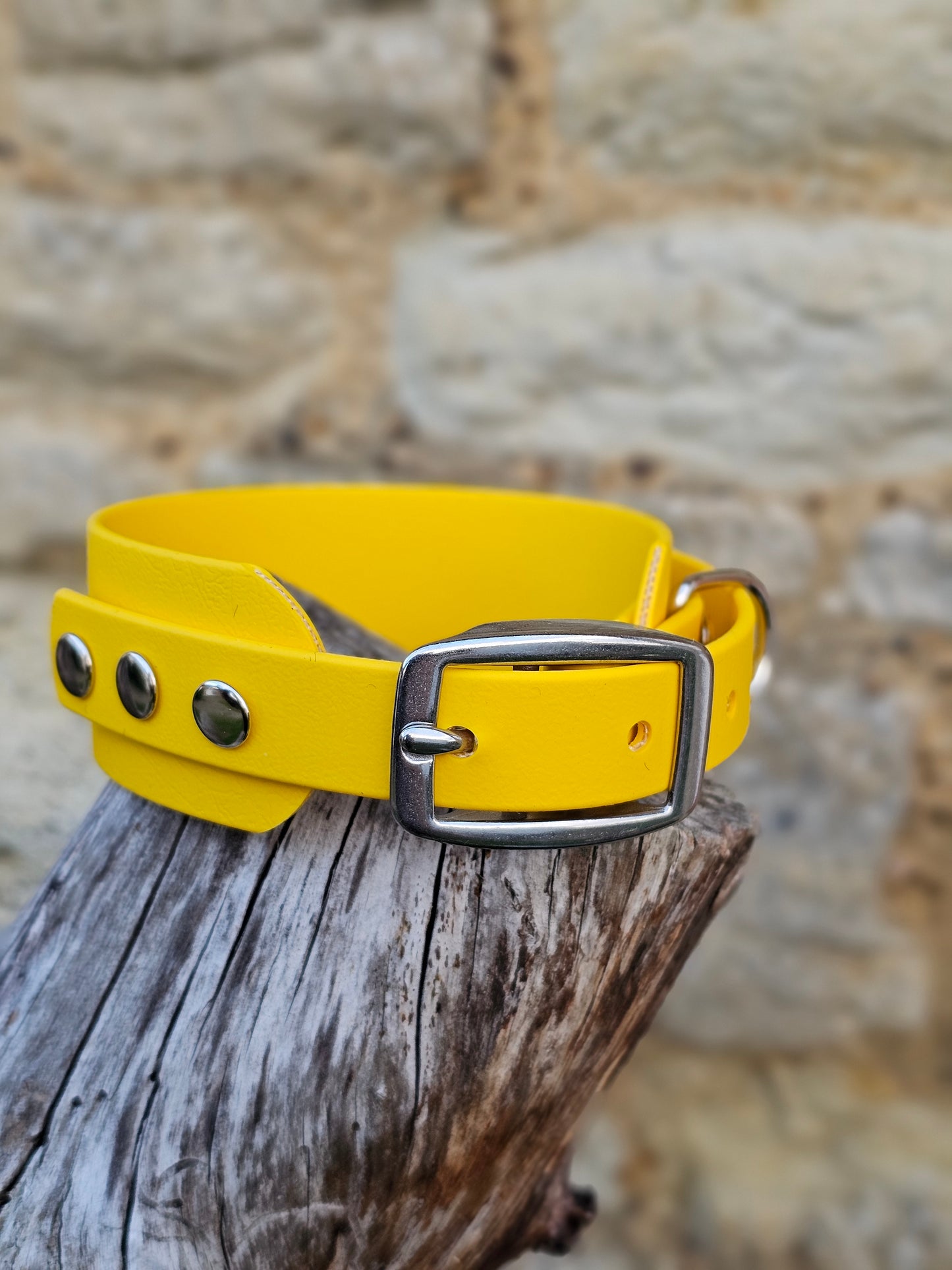 Yellow - Waterproof BioThane© Wide Fit Dog Collar  / Sighthound Collar