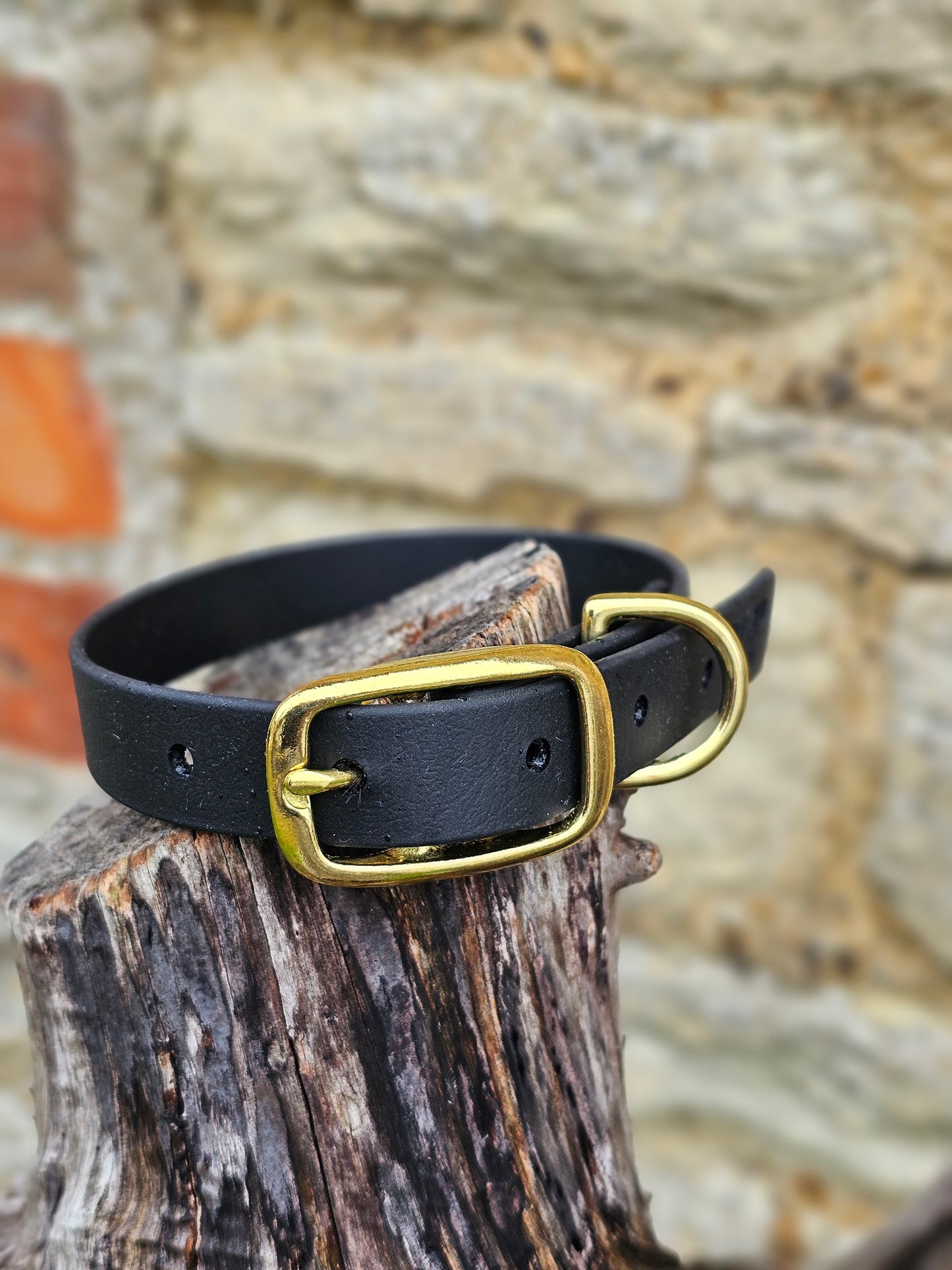 Black - Waterproof BioThane© Dog Collar